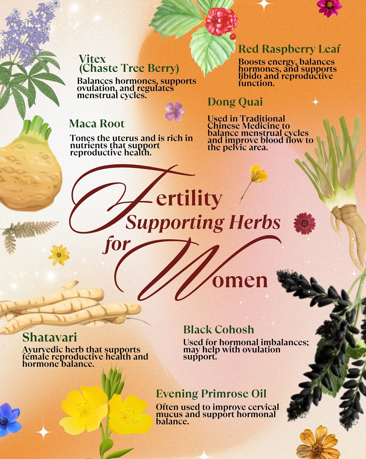 If you&rsquo;re on a journey to support your fertility naturally, you&rsquo;re not alone. 

Many women have turned to nature&rsquo;s gentle remedies herbs like red raspberry leaf, vitex (chasteberry), nettles, and maca root to nurture hormonal balanc