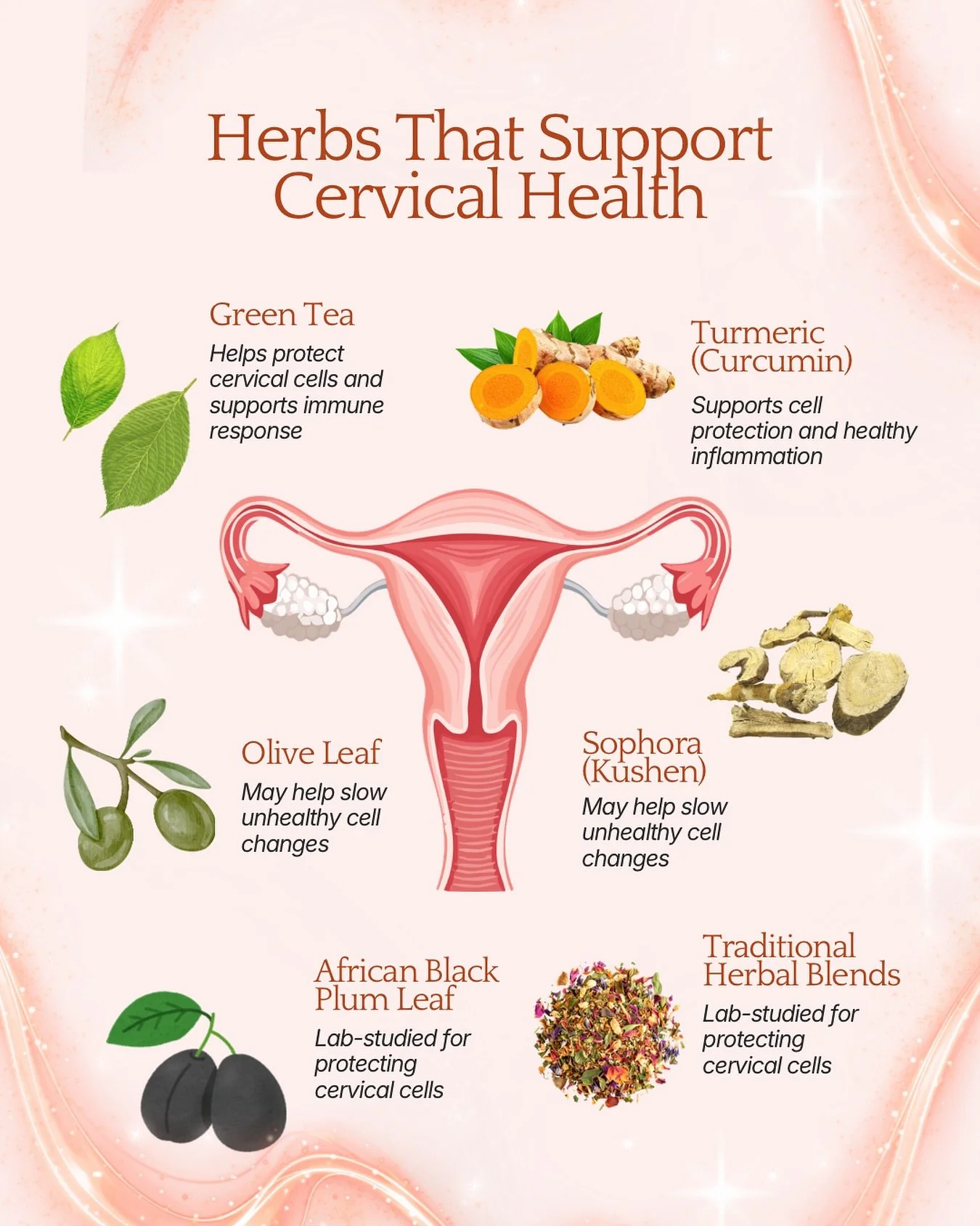 Our bodies understand nature.

And for generations, women have turned to herbs to gently support their cervix and overall reproductive wellness. Your cervix is part of your whole-body health.

What you nourish, rest, and protect matters.

Before tryi