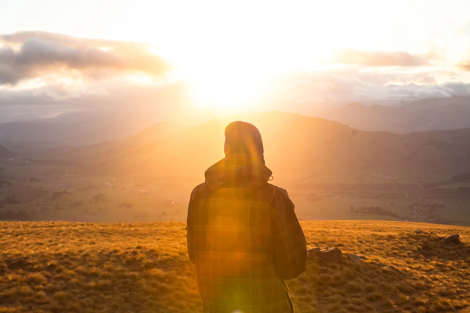 Sunset Tom resized.jpg