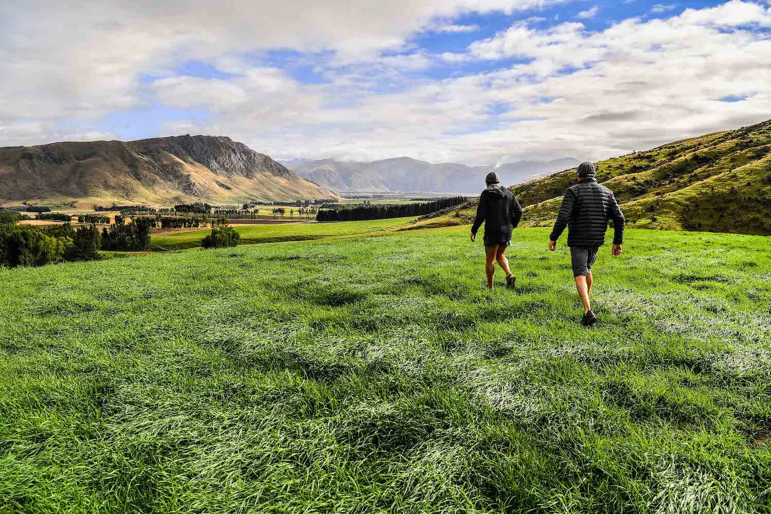 Tom and scott walking resized.jpg