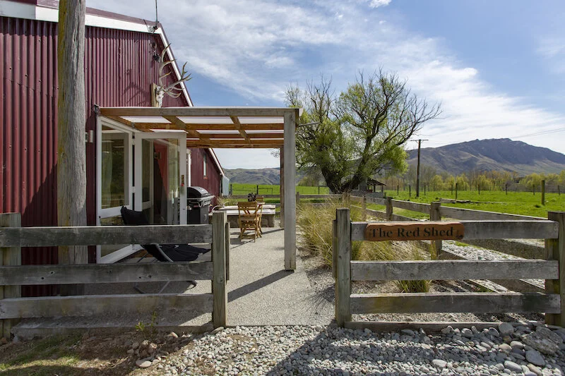 patio view towards tree.jpg