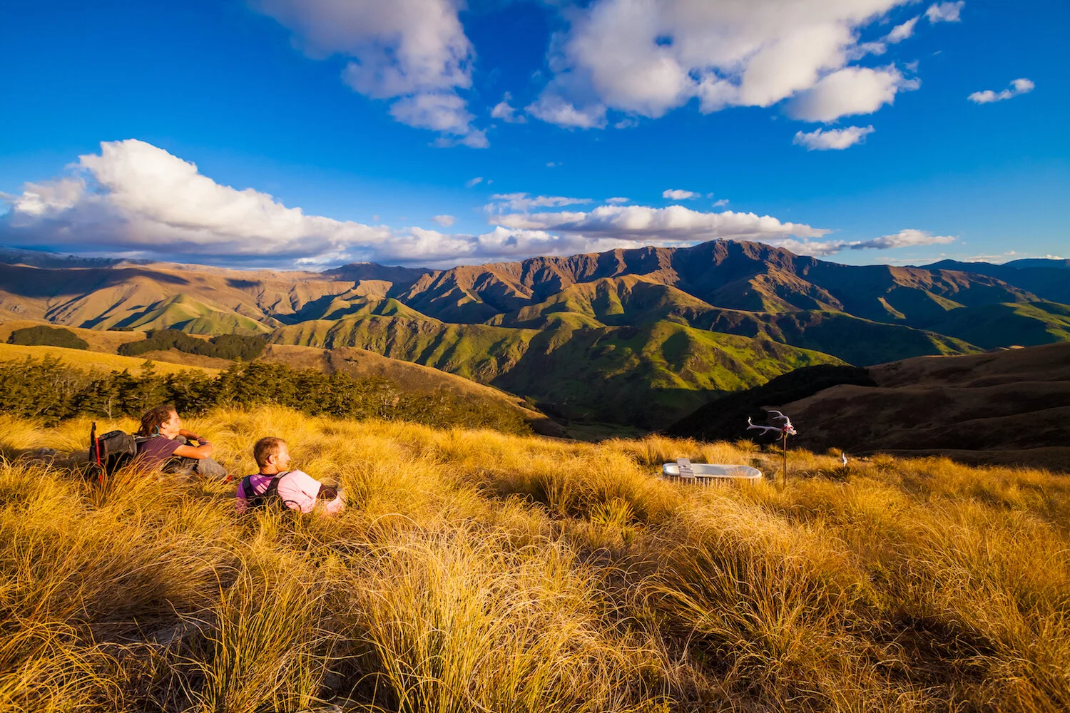 Sitting in tussocks.jpg