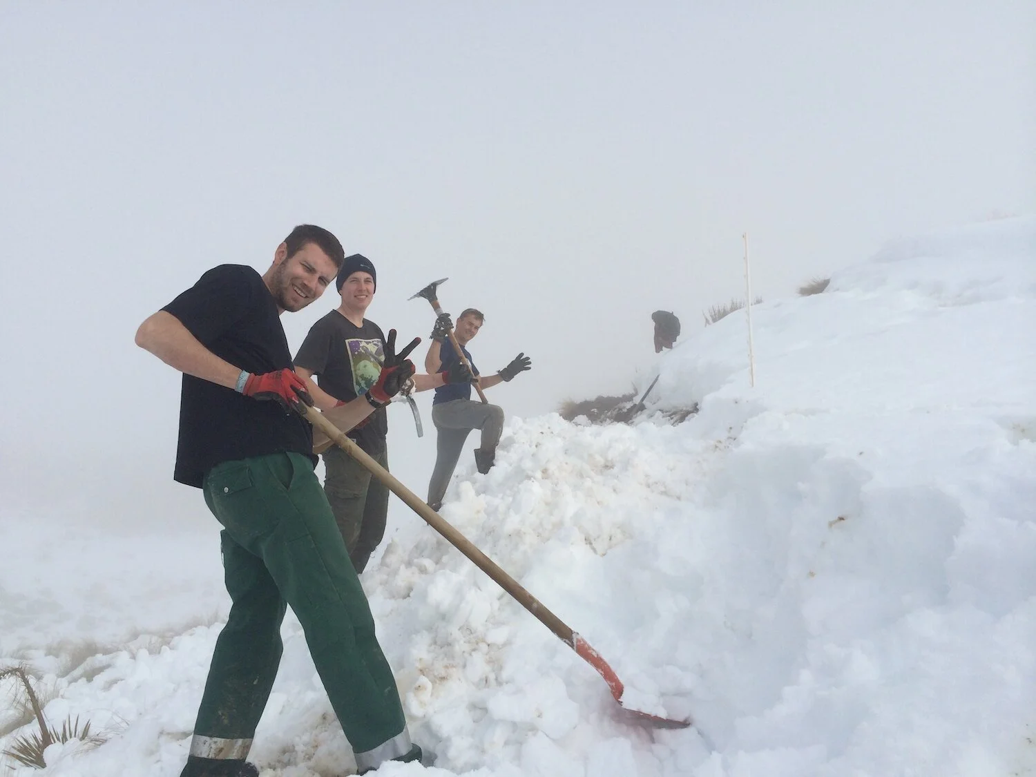 Group woofers in snow.JPG