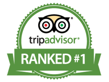 TripAdvisor---5-Star2.png