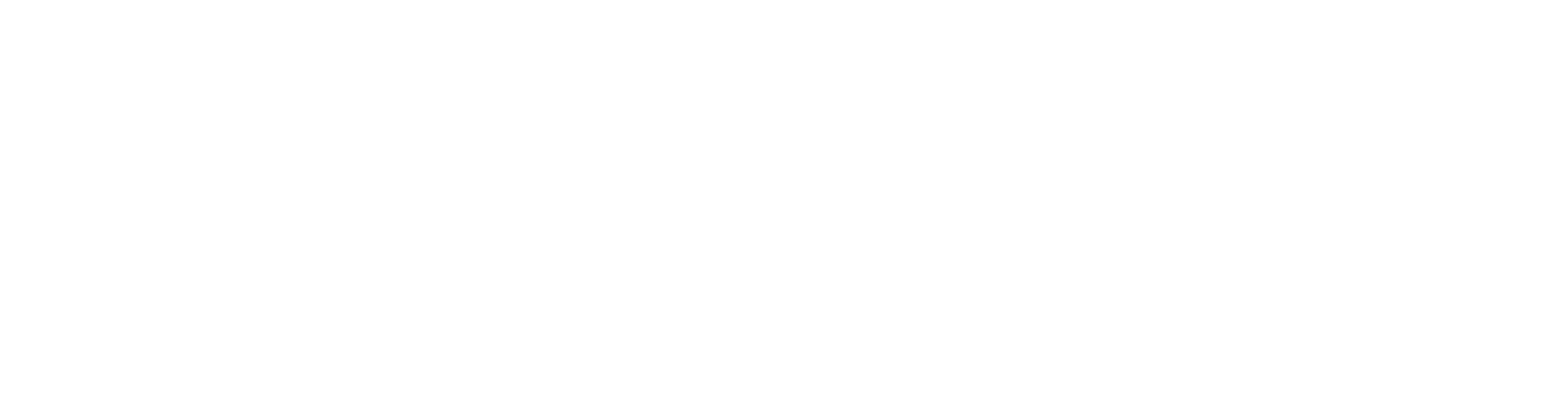 White - Rediscover Southland Logo.png