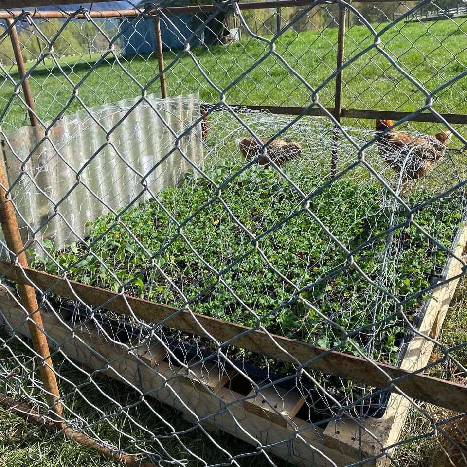 Welcome Rock Gardens (2).jpg