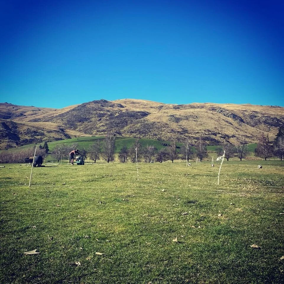 Welcome Rock Gardens (9).jpg