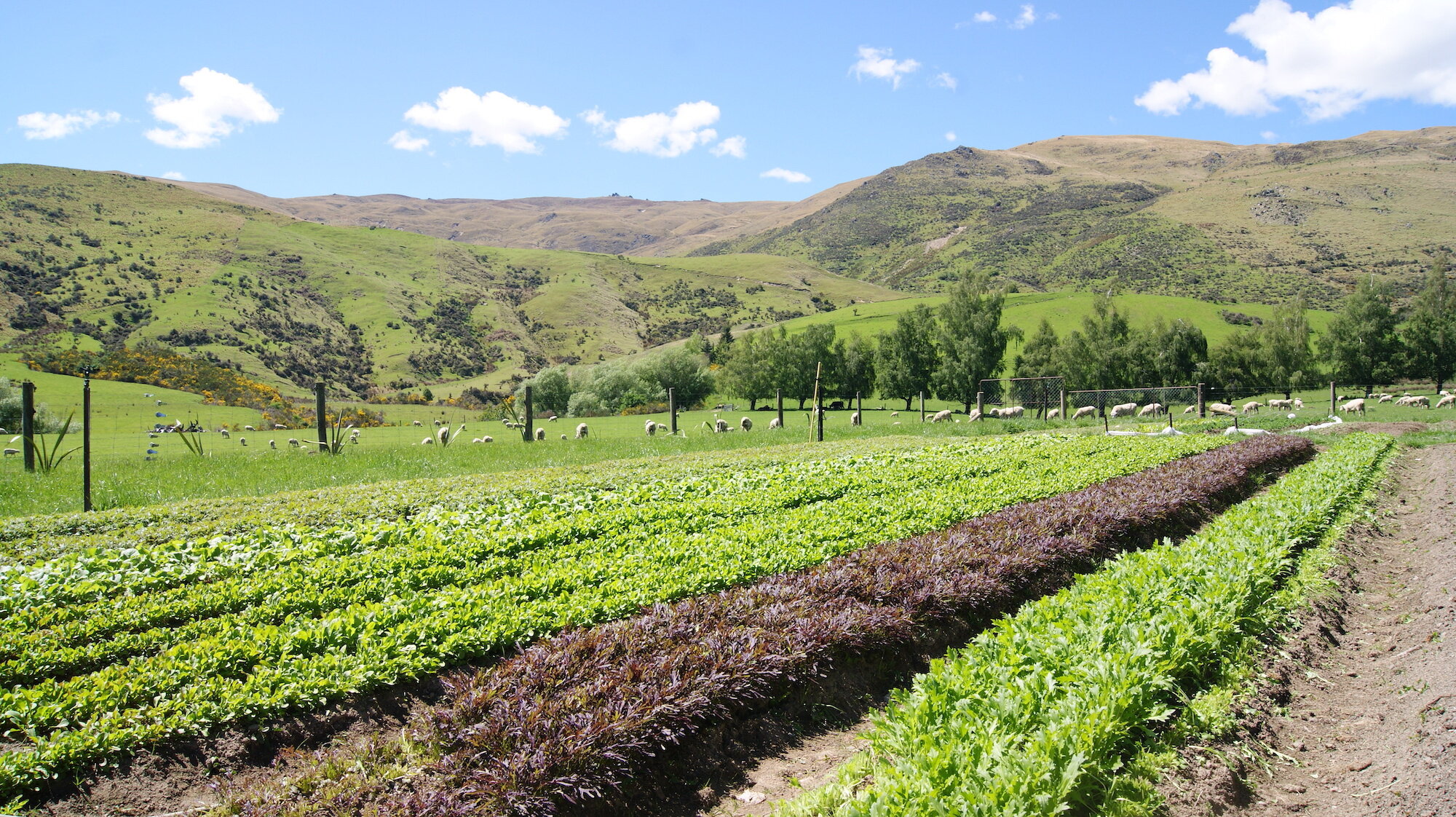 Website header photo 2.jpg