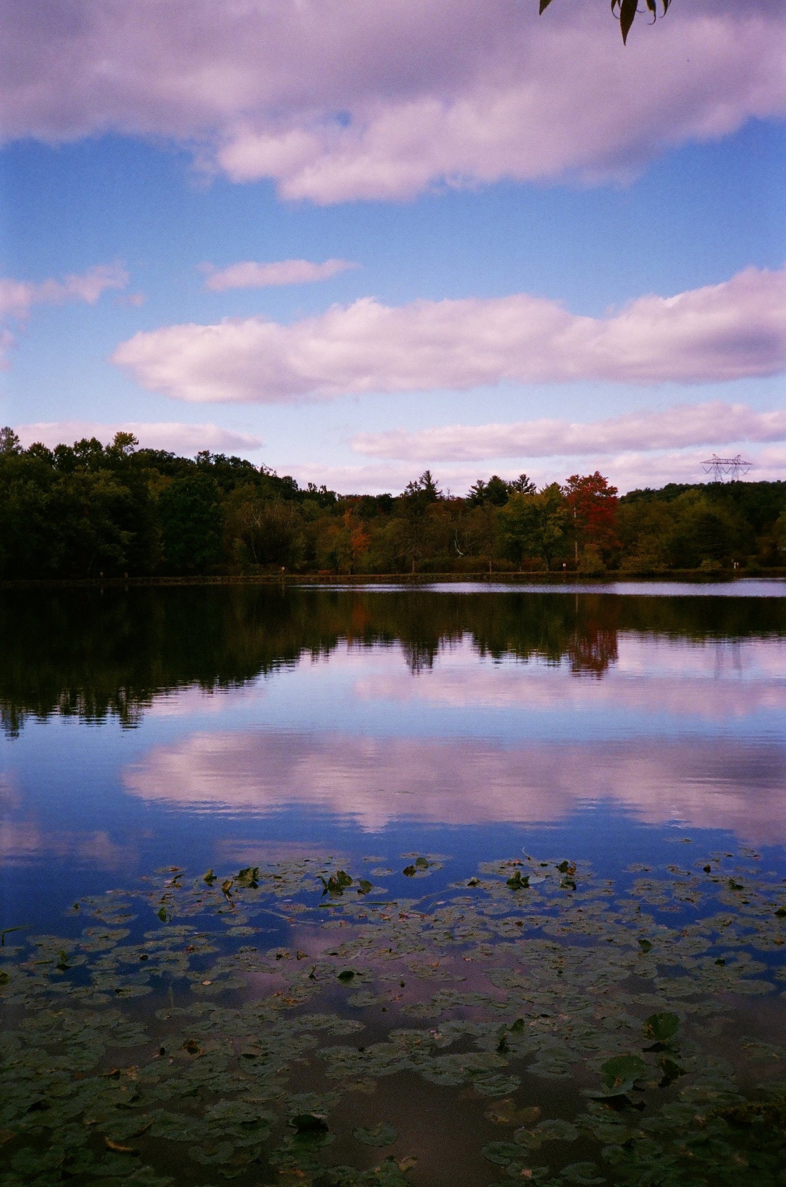 blues on the lake