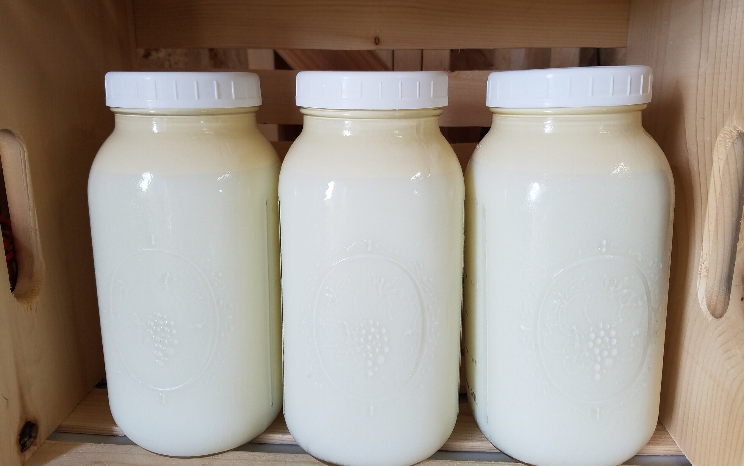 Raw Dairy — Honeymilk Homestead