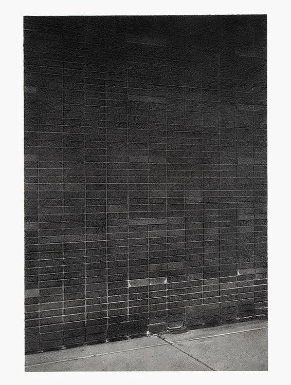 Image#2 graphite on panel 12"x16" 2024