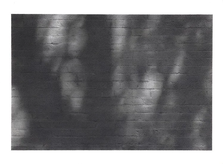 Tree Shadows graphite on panel 12"x16" 2025-26
