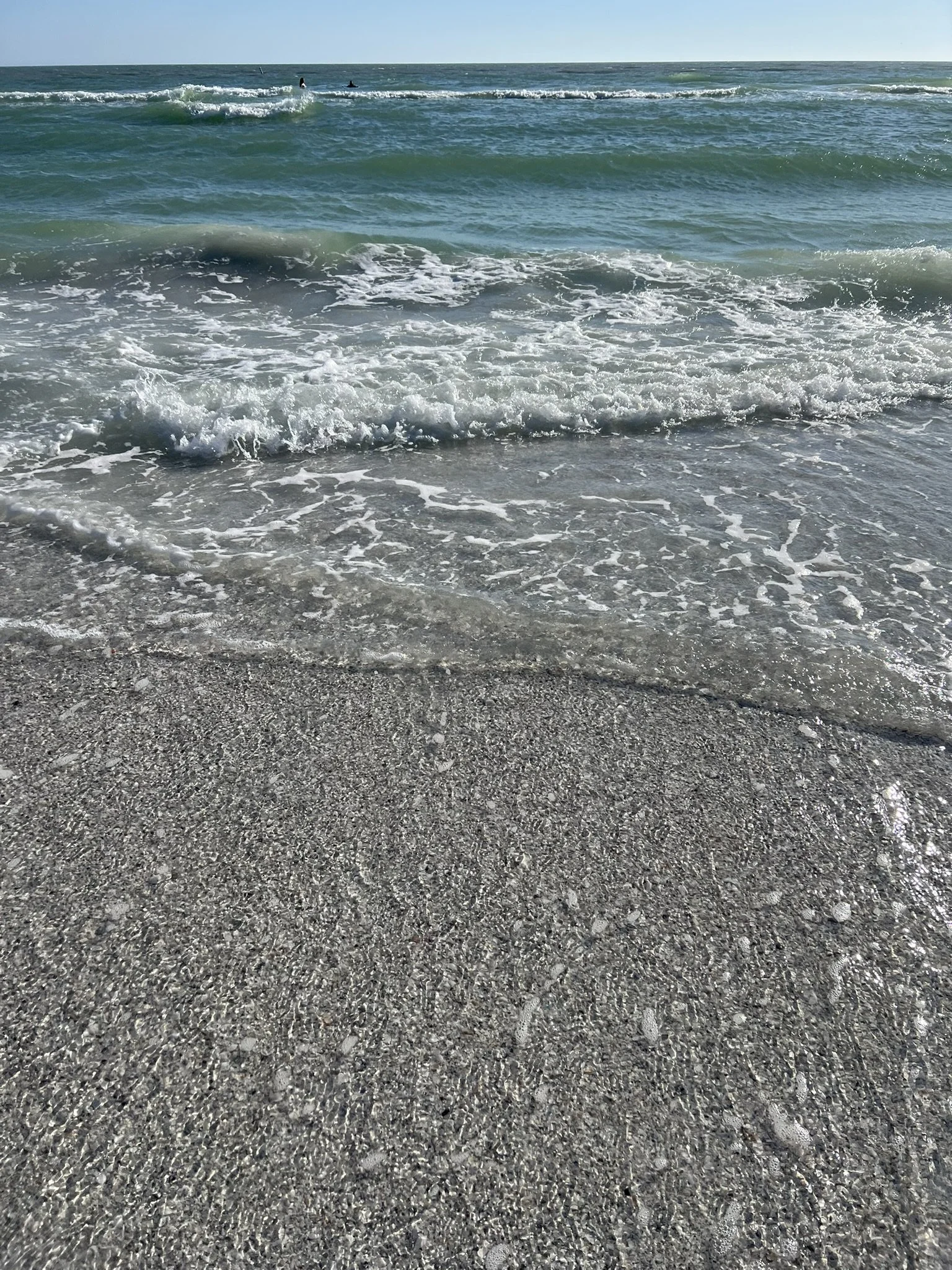 30 Hours in Sarasota 