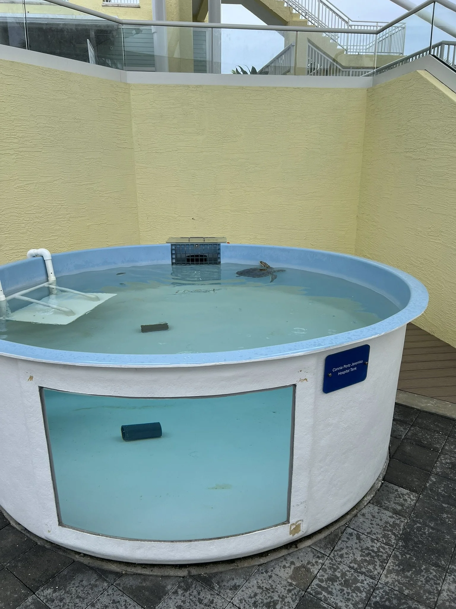 Loggerhead Park (4).JPEG