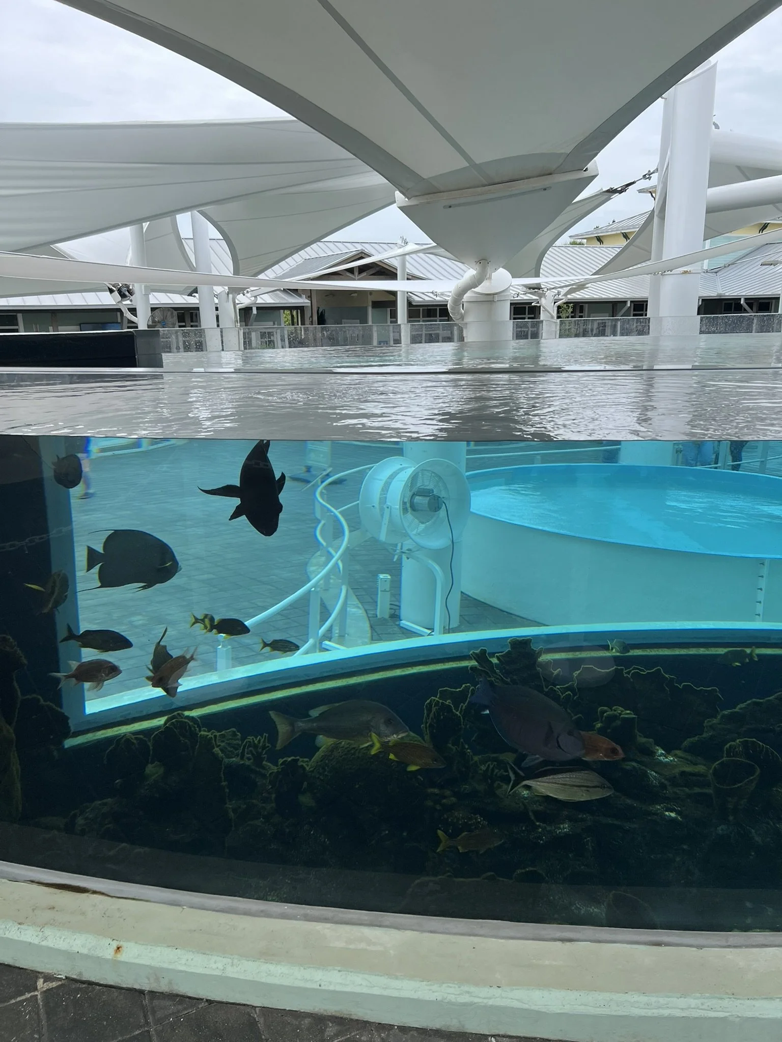 Loggerhead Park (9).JPEG