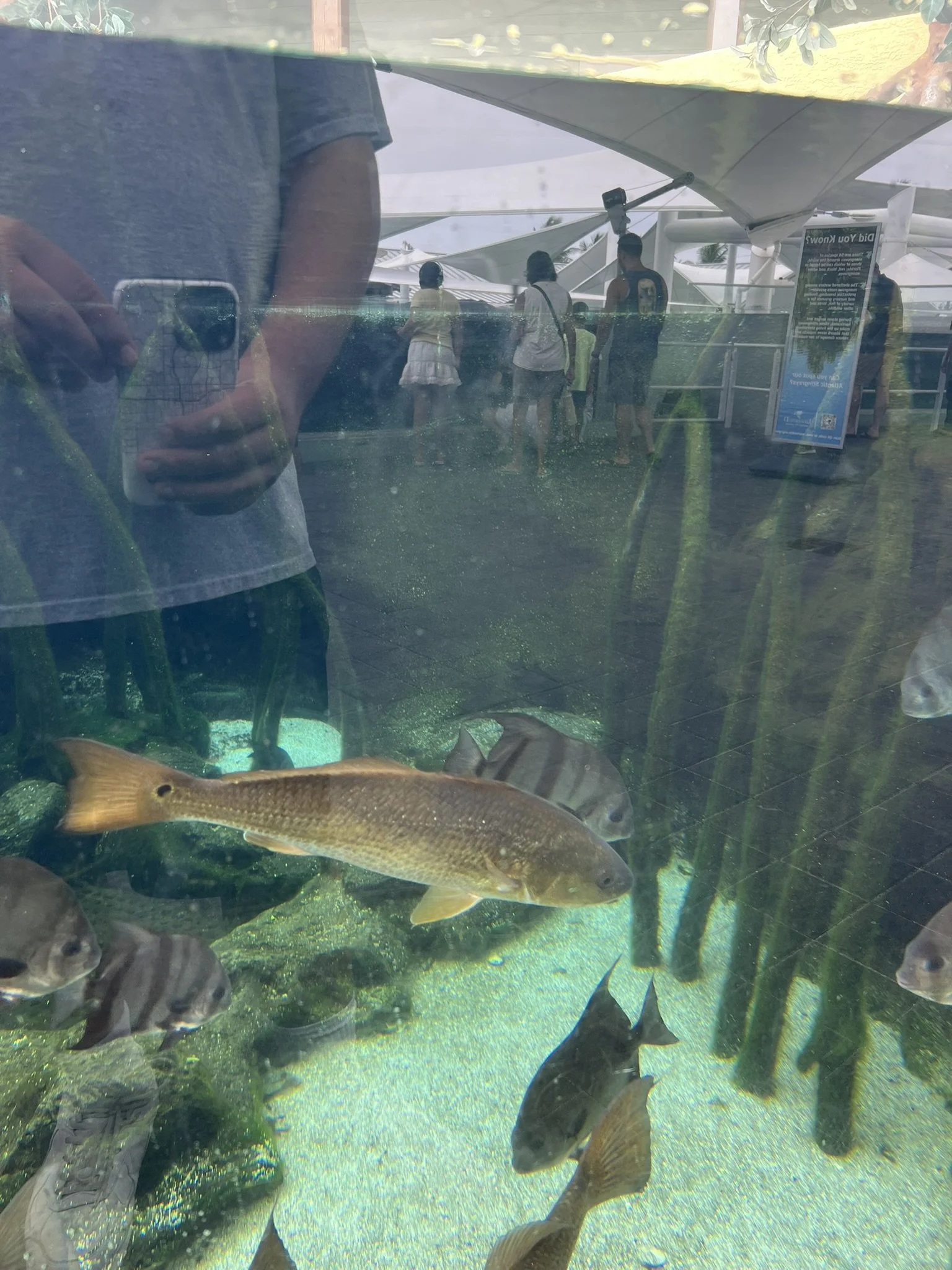 Loggerhead Park (11).JPEG