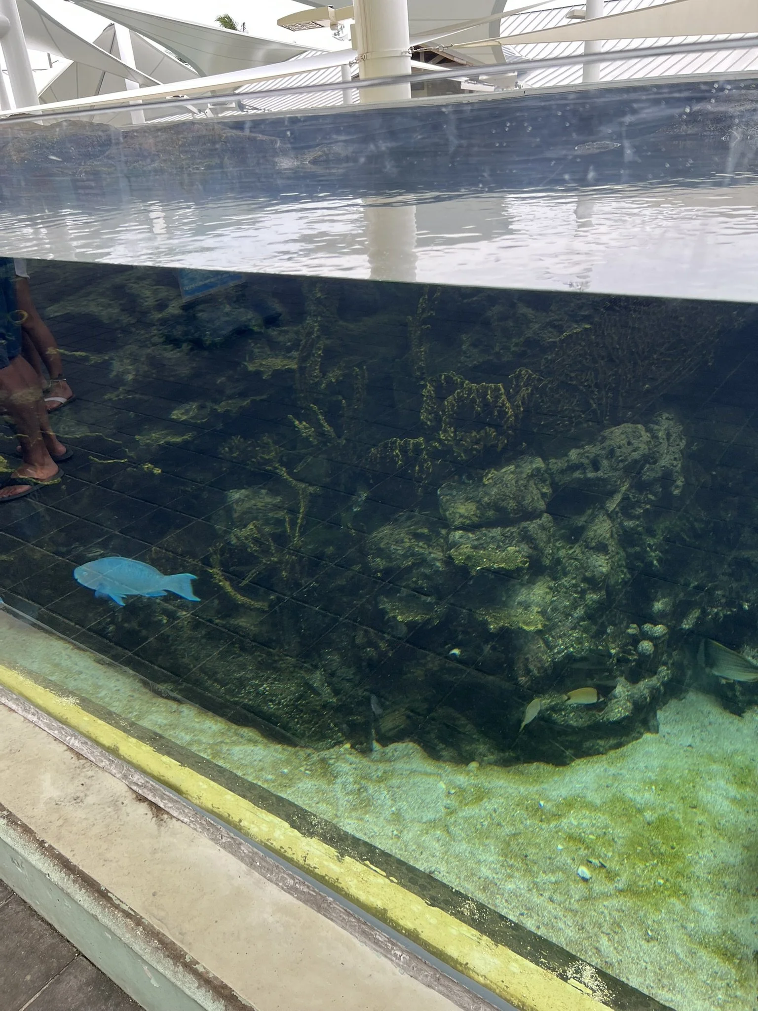 Loggerhead Park (12).JPEG