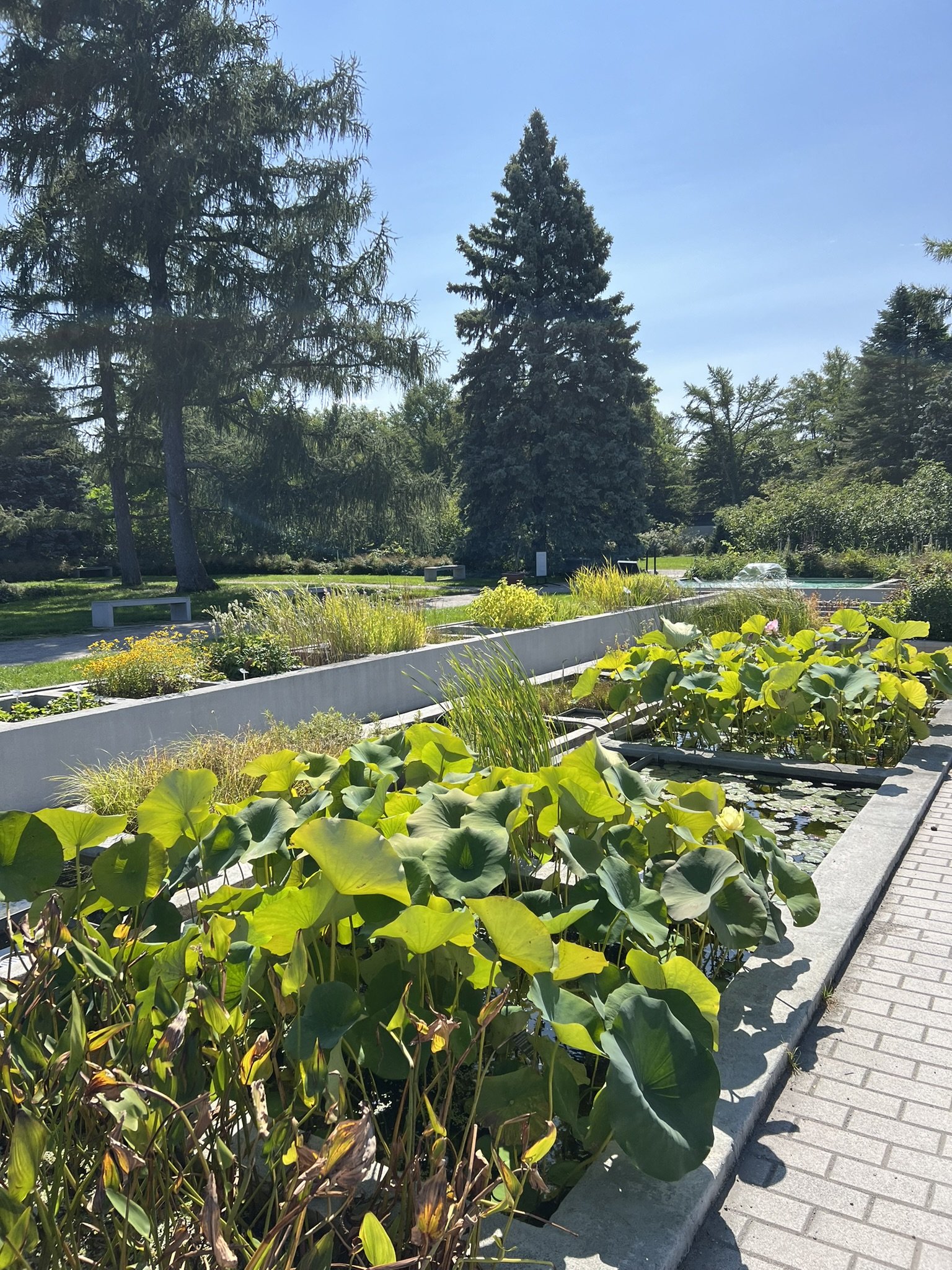 Montreal Gardens (6).JPEG