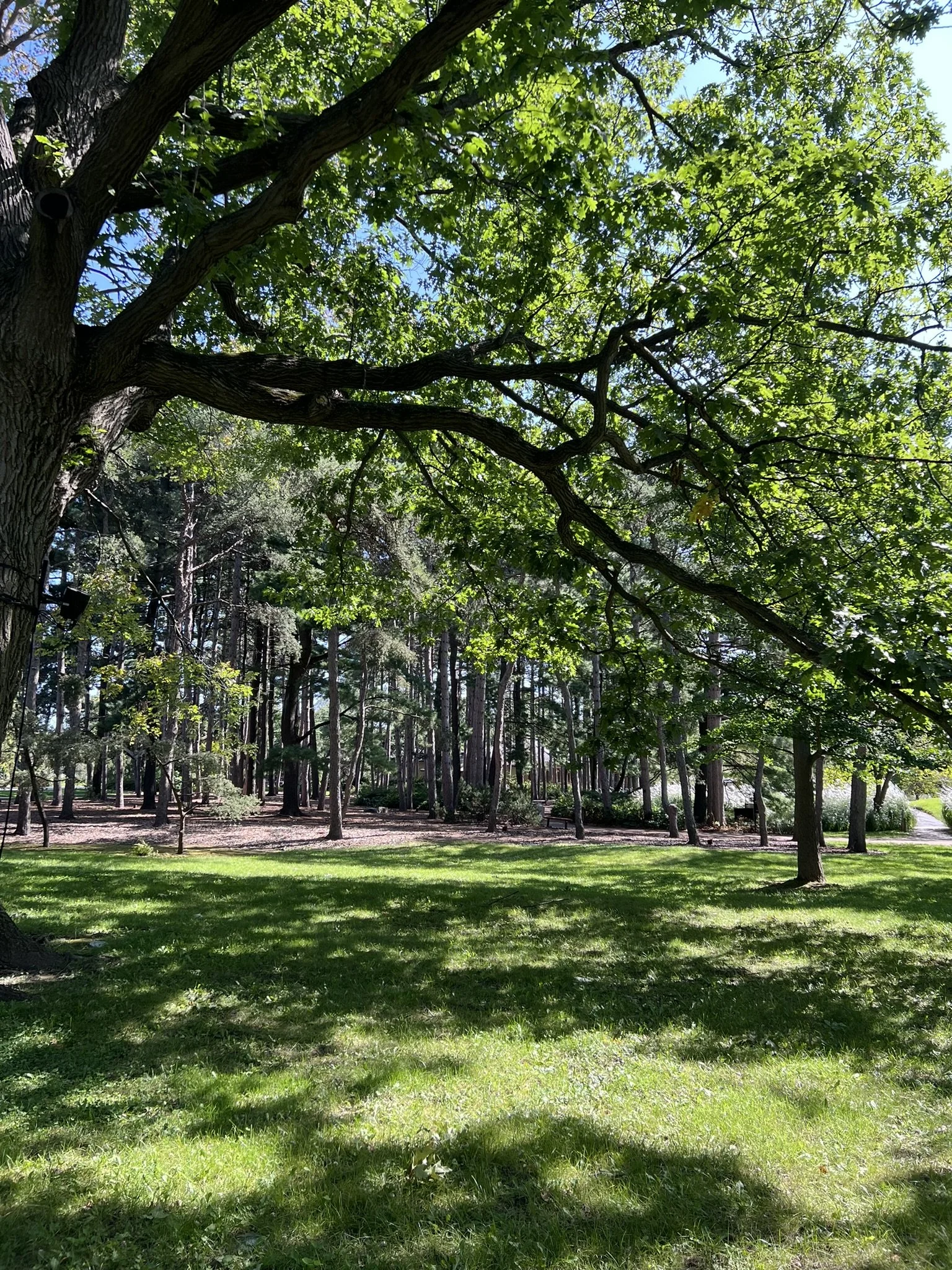 Montreal Gardens (5).JPEG