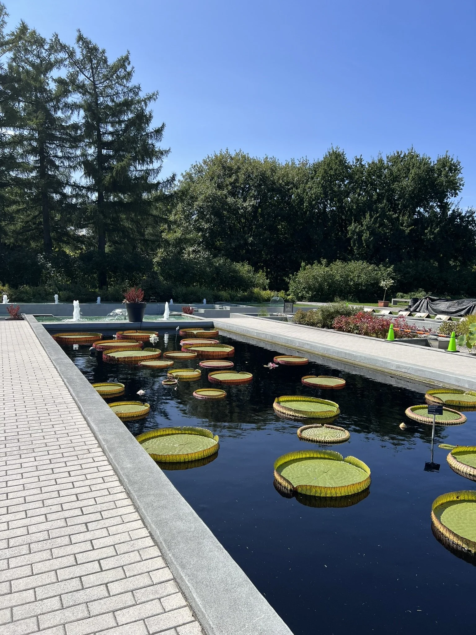 Montreal Gardens (7).JPEG