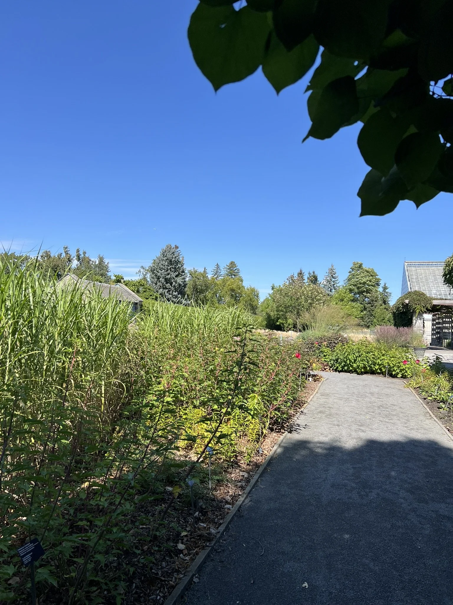 Montreal Gardens (10).JPEG