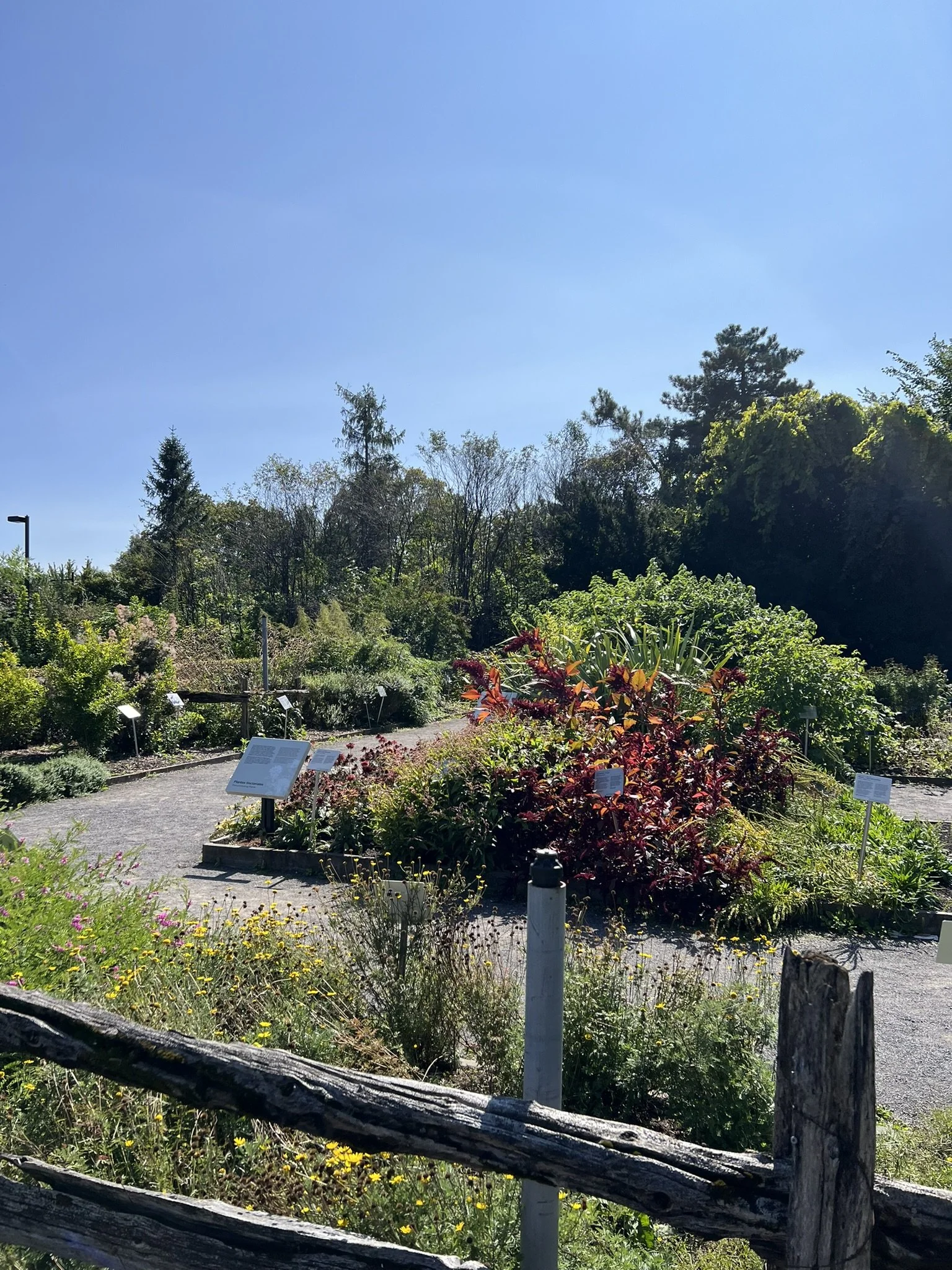 Montreal Gardens (11).JPEG