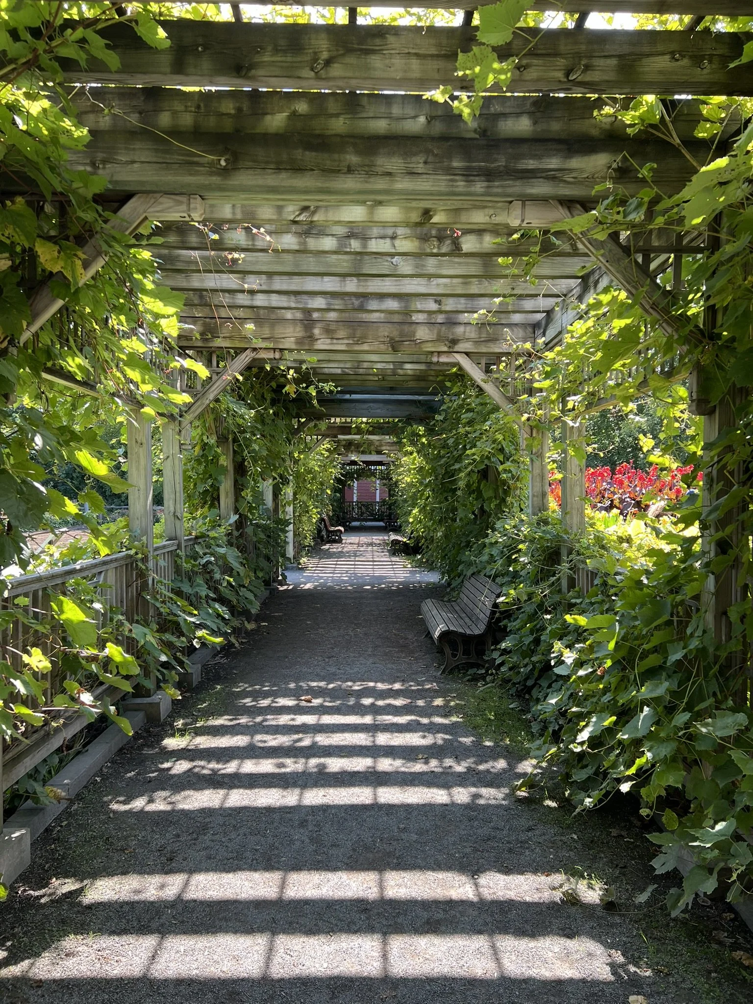 Montreal Gardens (14).JPEG