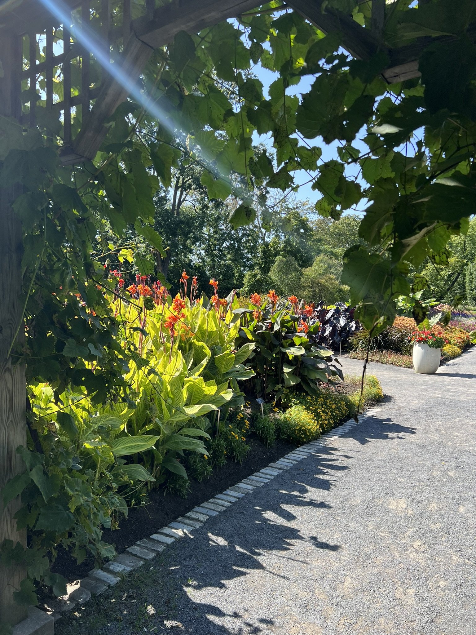 Montreal Gardens (15).JPEG