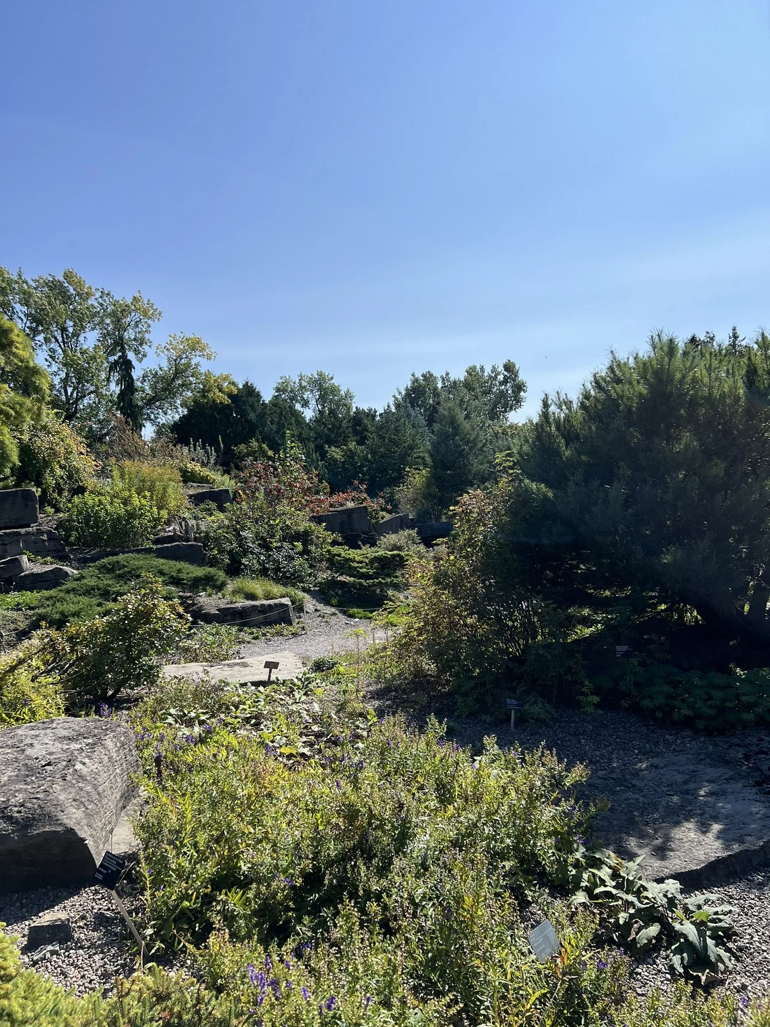 Montreal Gardens (17).JPEG