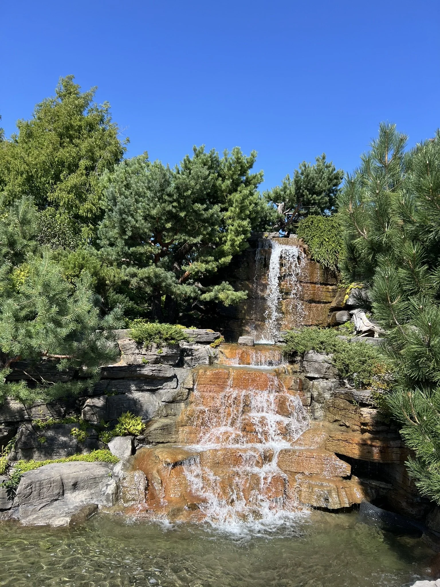 Montreal Gardens (18).JPEG