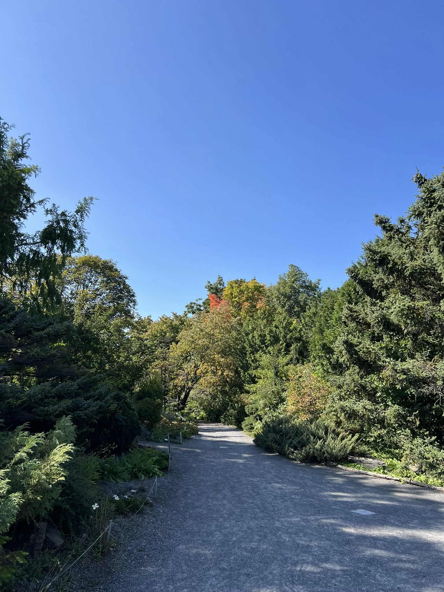 Montreal Gardens (19).JPEG