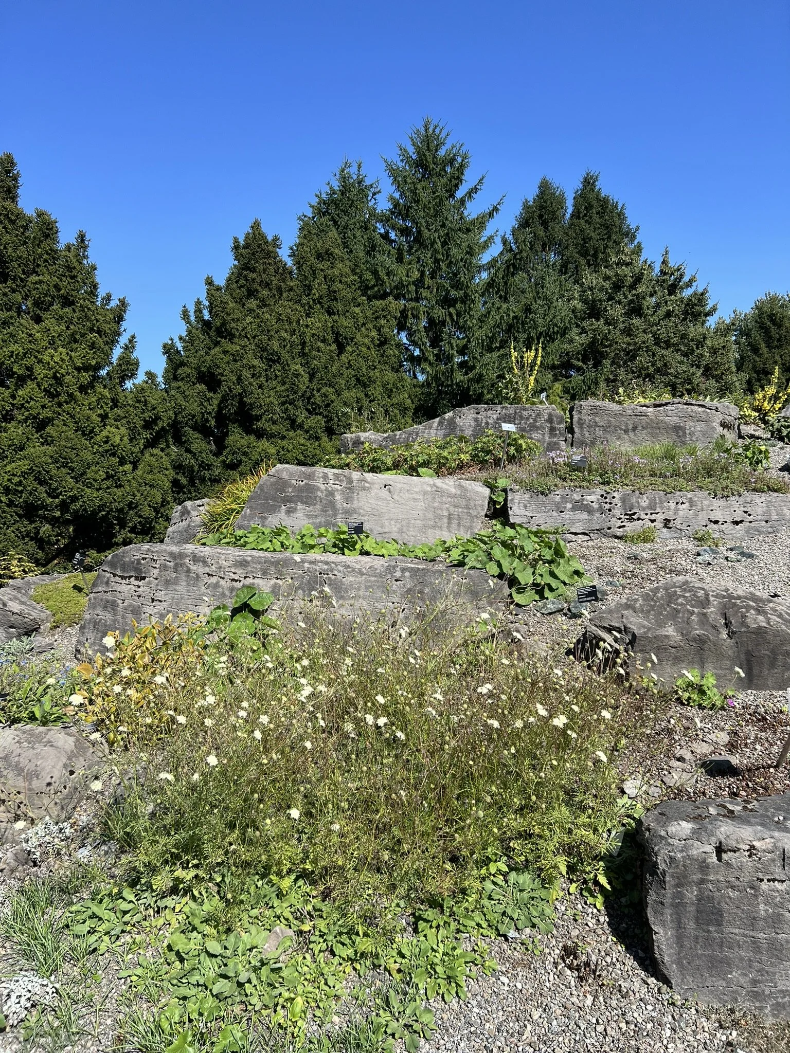 Montreal Gardens (20).JPEG