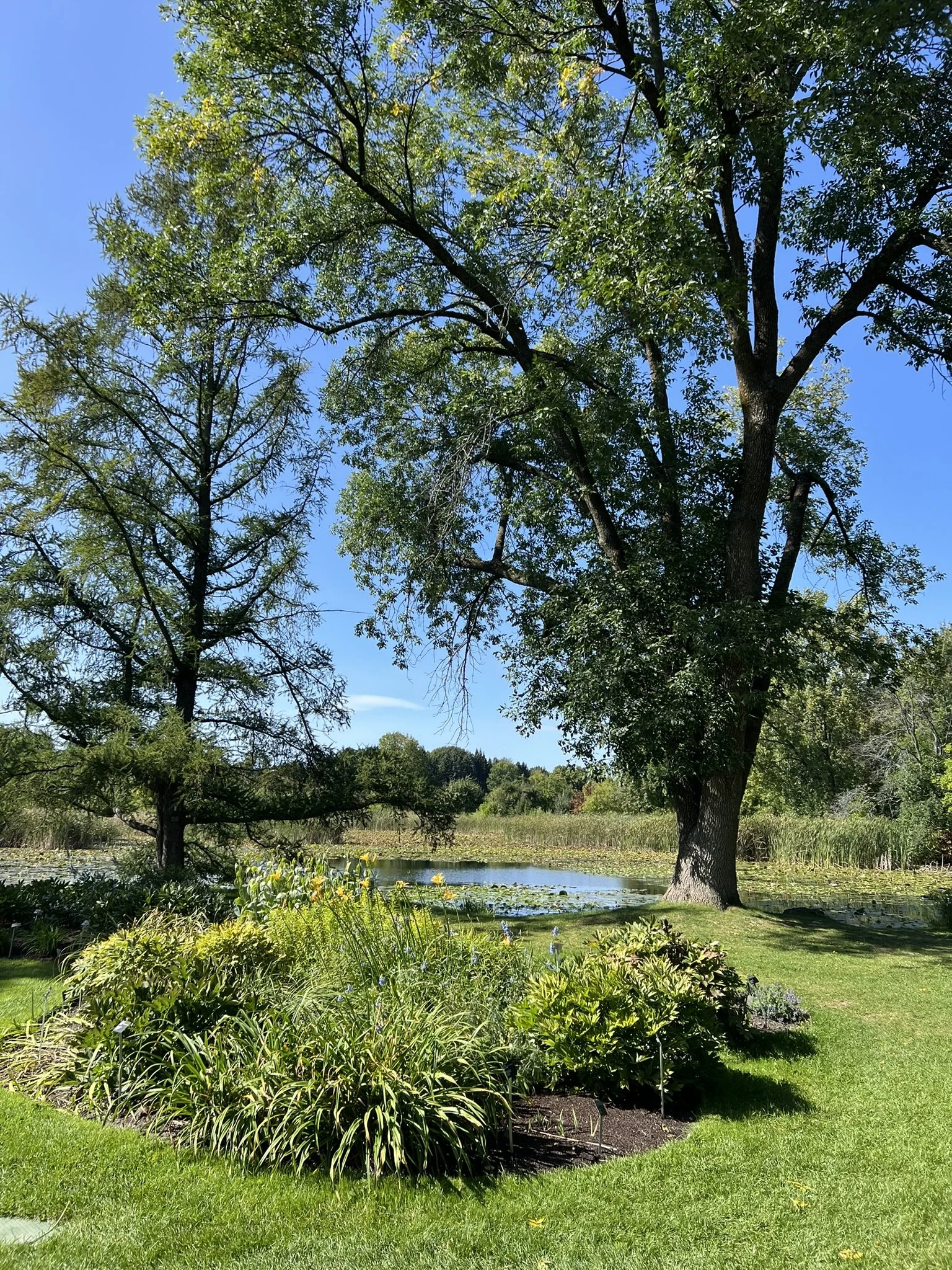 Montreal Gardens (21).JPEG