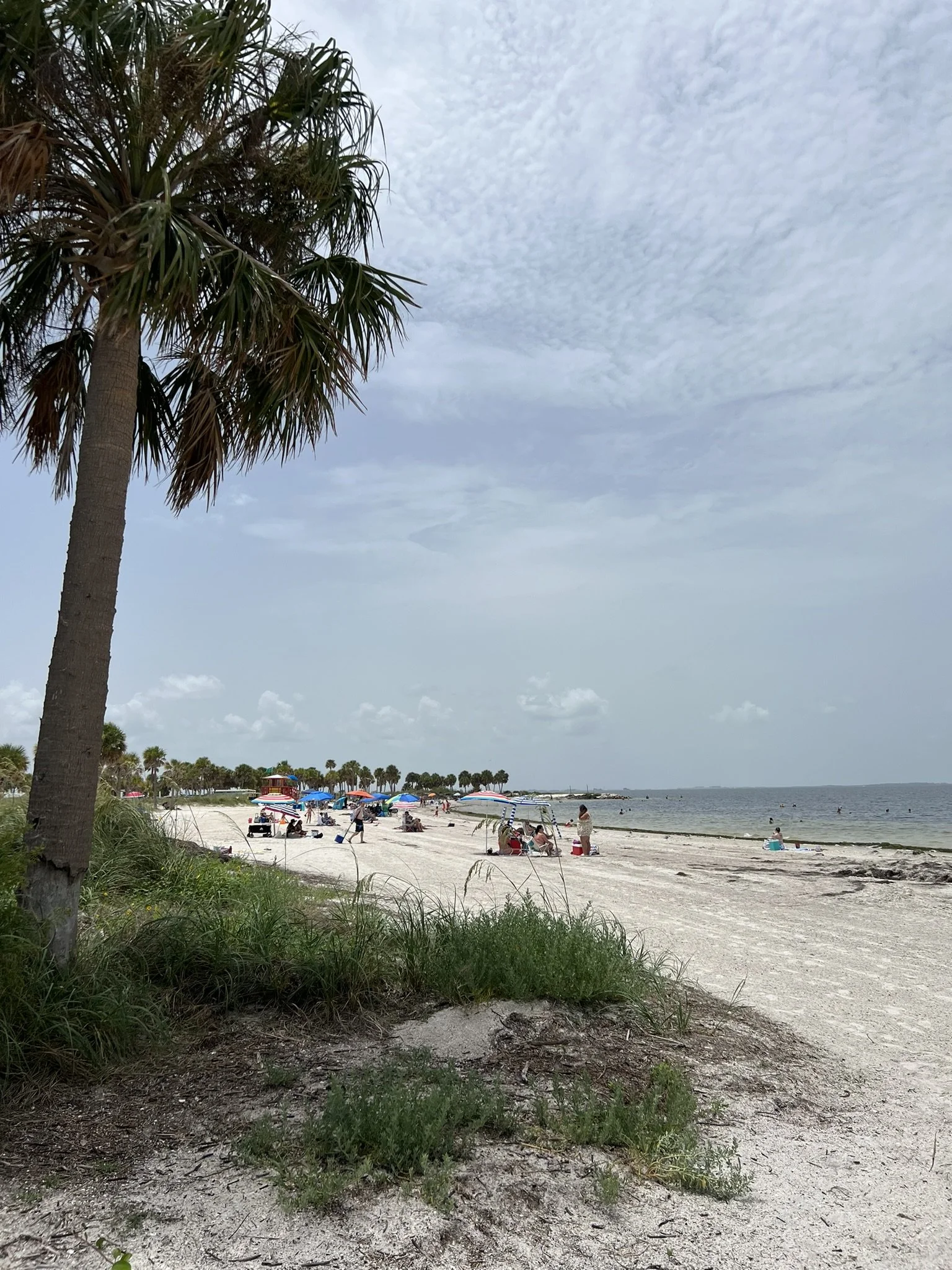 Tarpon Springs (8).JPEG