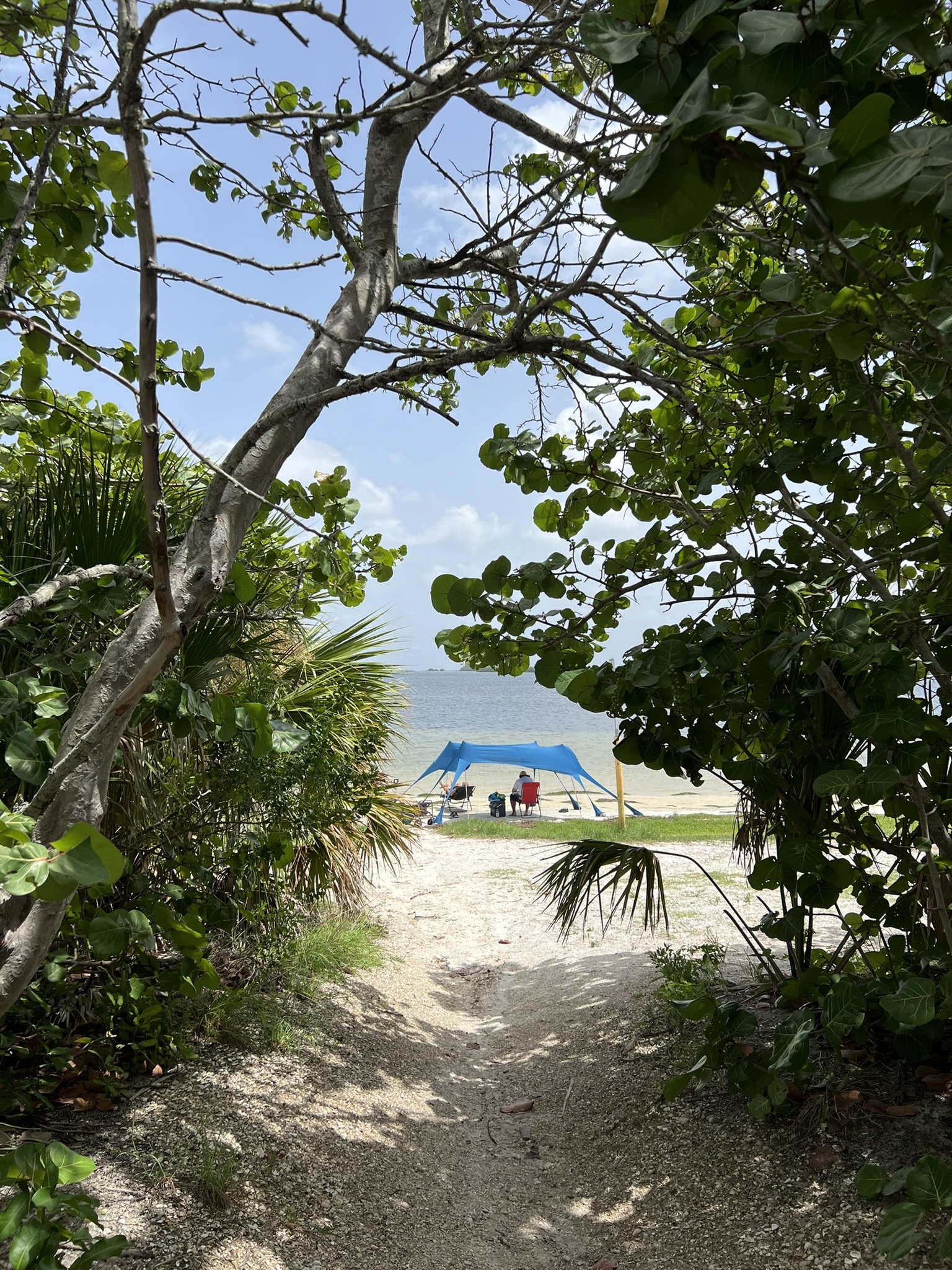 Tarpon Springs (9).JPEG