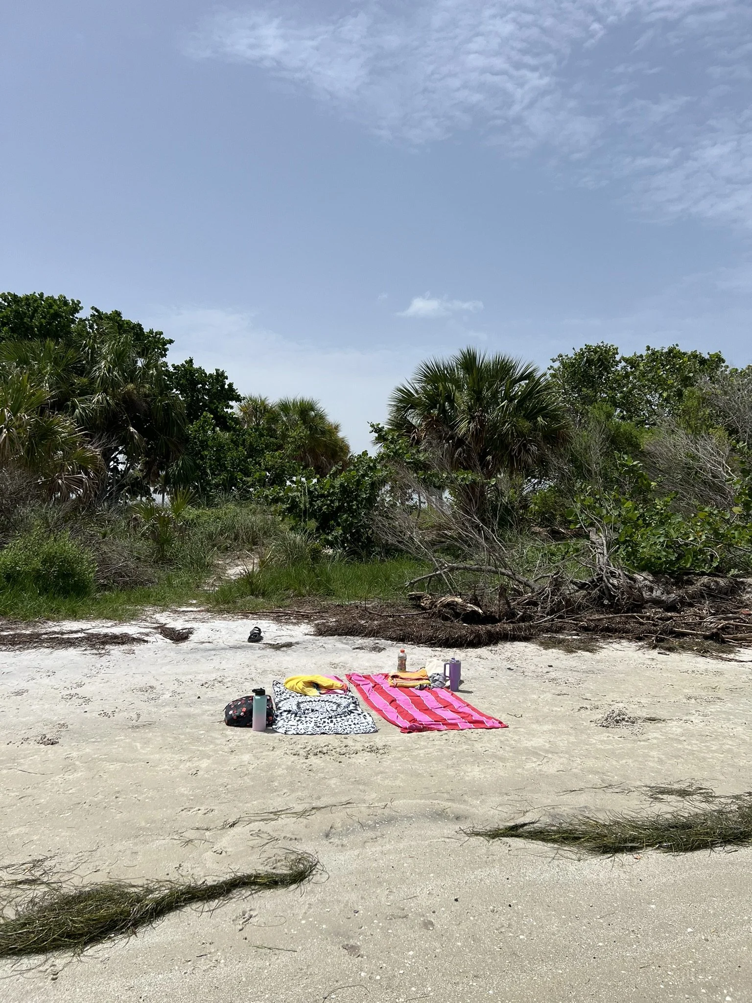 Tarpon Springs (11).JPEG