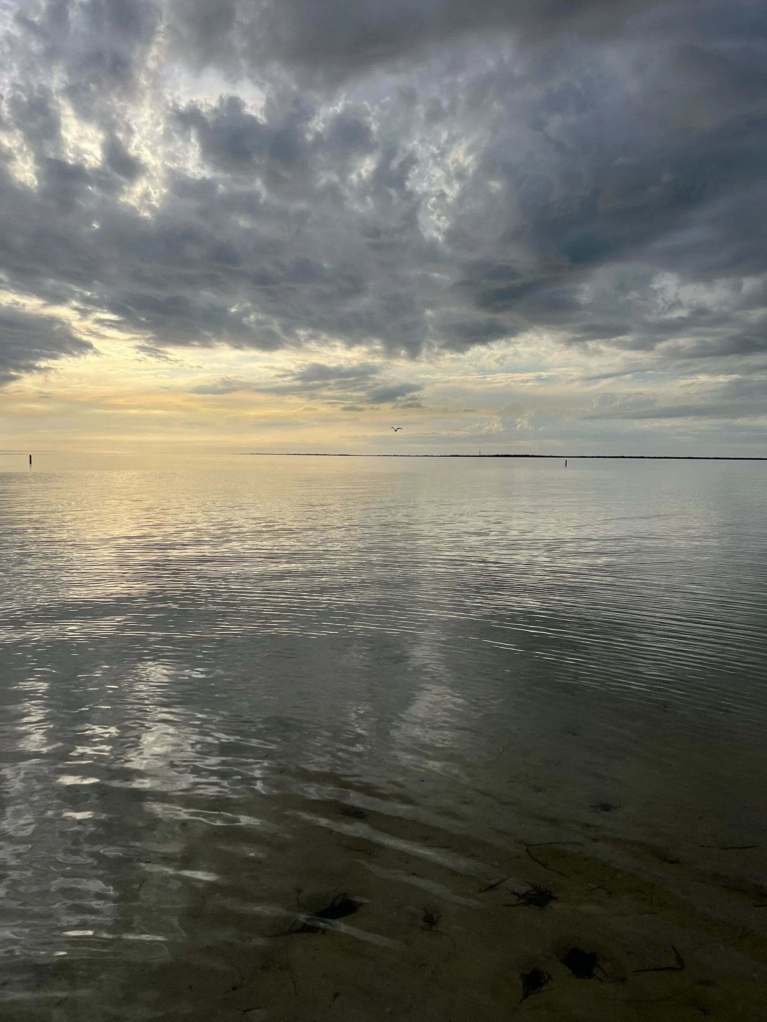 Tarpon Springs (37).JPEG