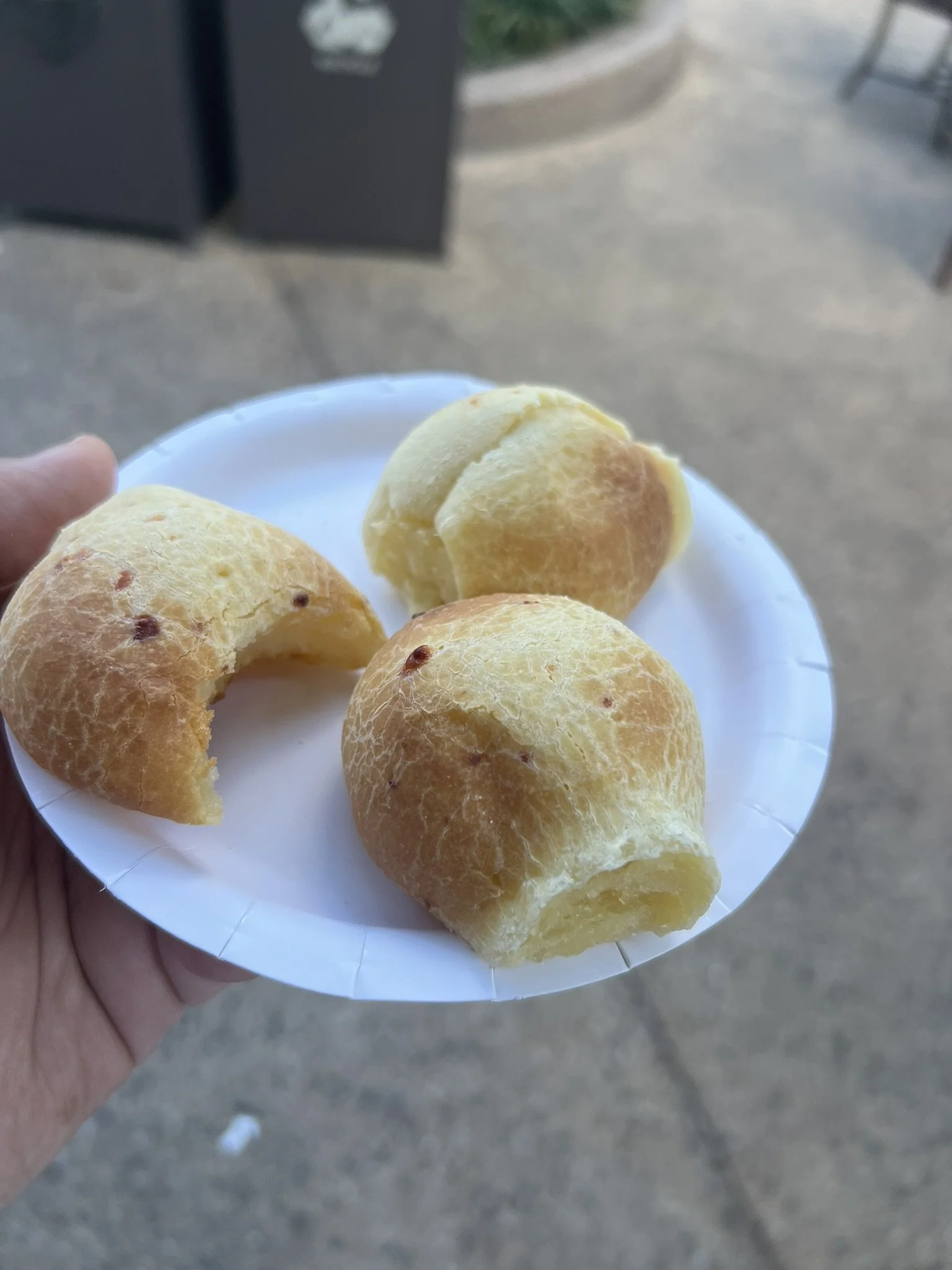 Epcot Food and Wine 2025 (5).JPEG