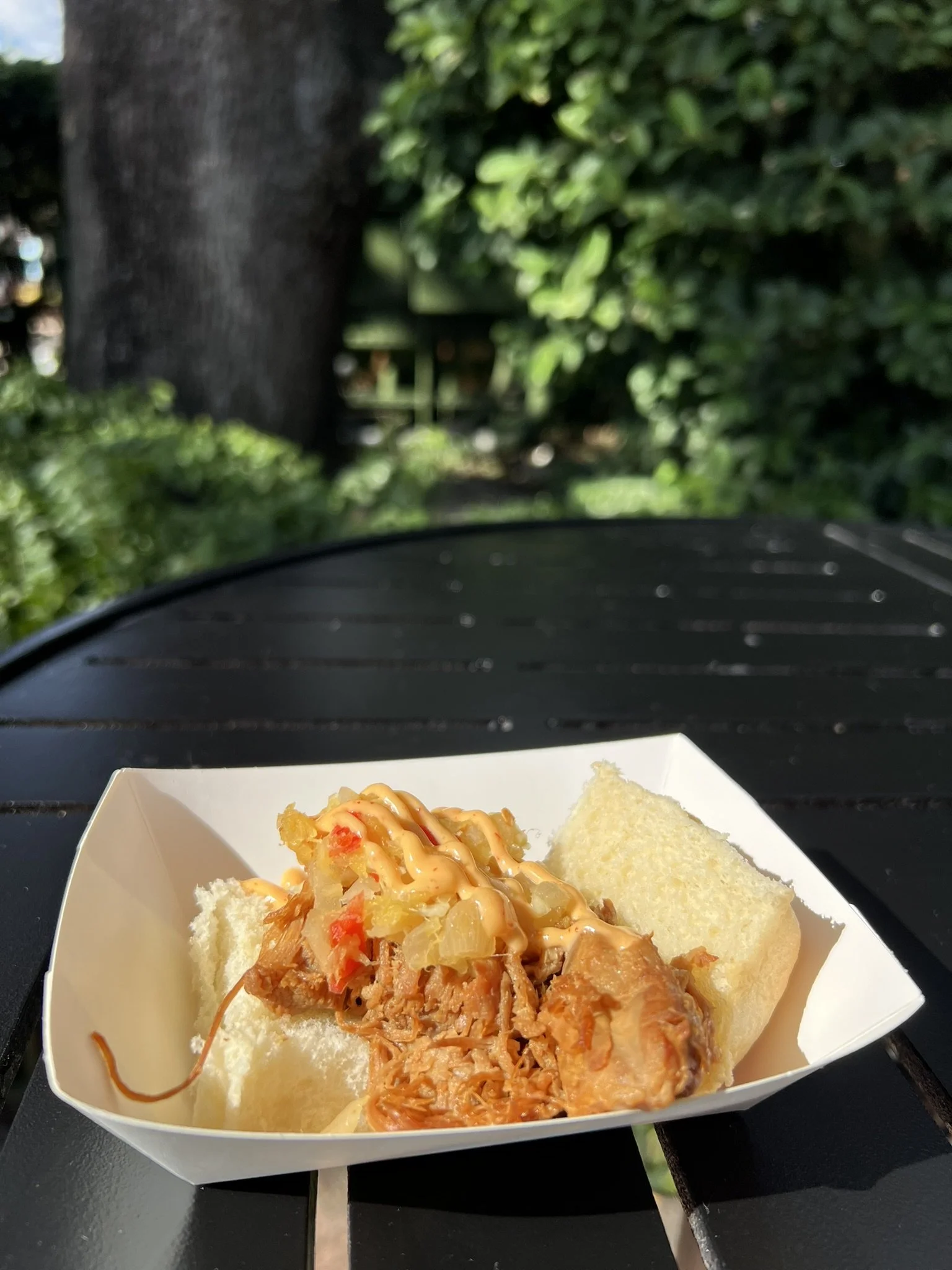 Epcot Food and Wine 2025 (12).JPEG