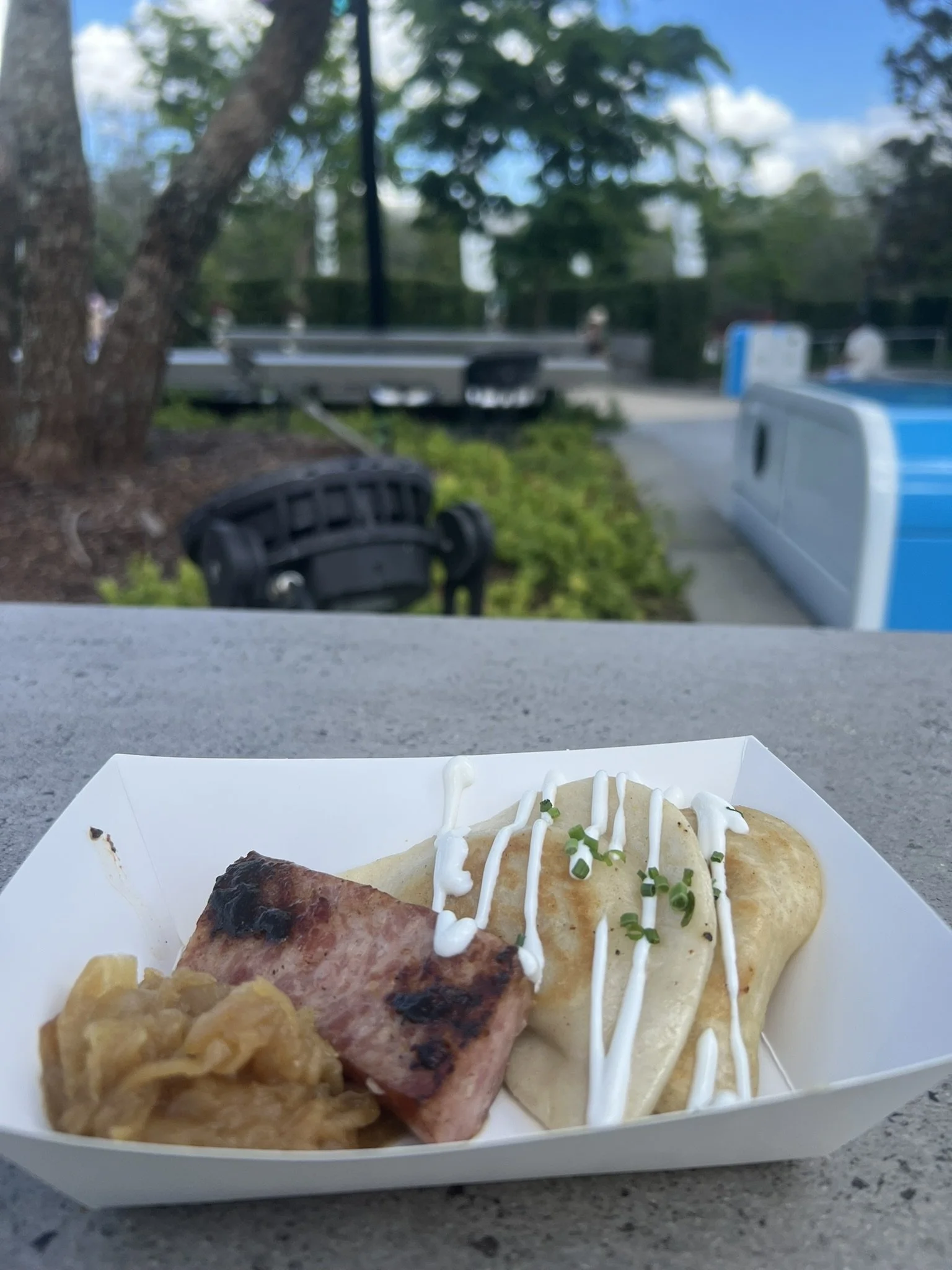 Epcot Food and Wine 2025 (14).JPEG