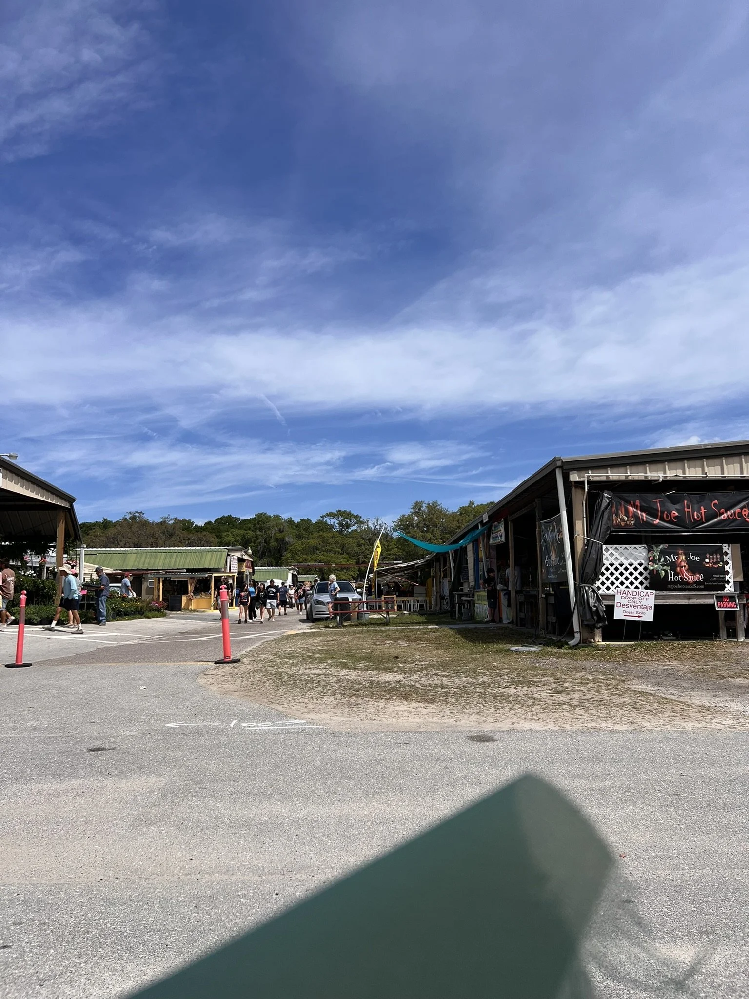 Rennigers Flea Market (20).JPEG