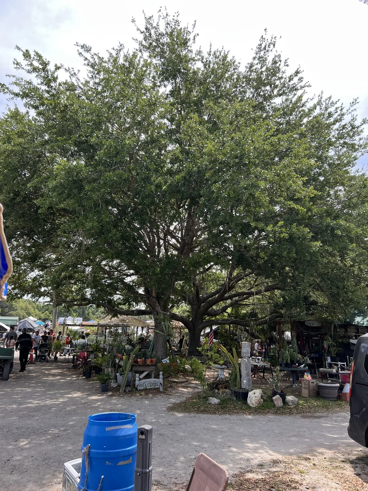 Rennigers Flea Market (28).JPEG