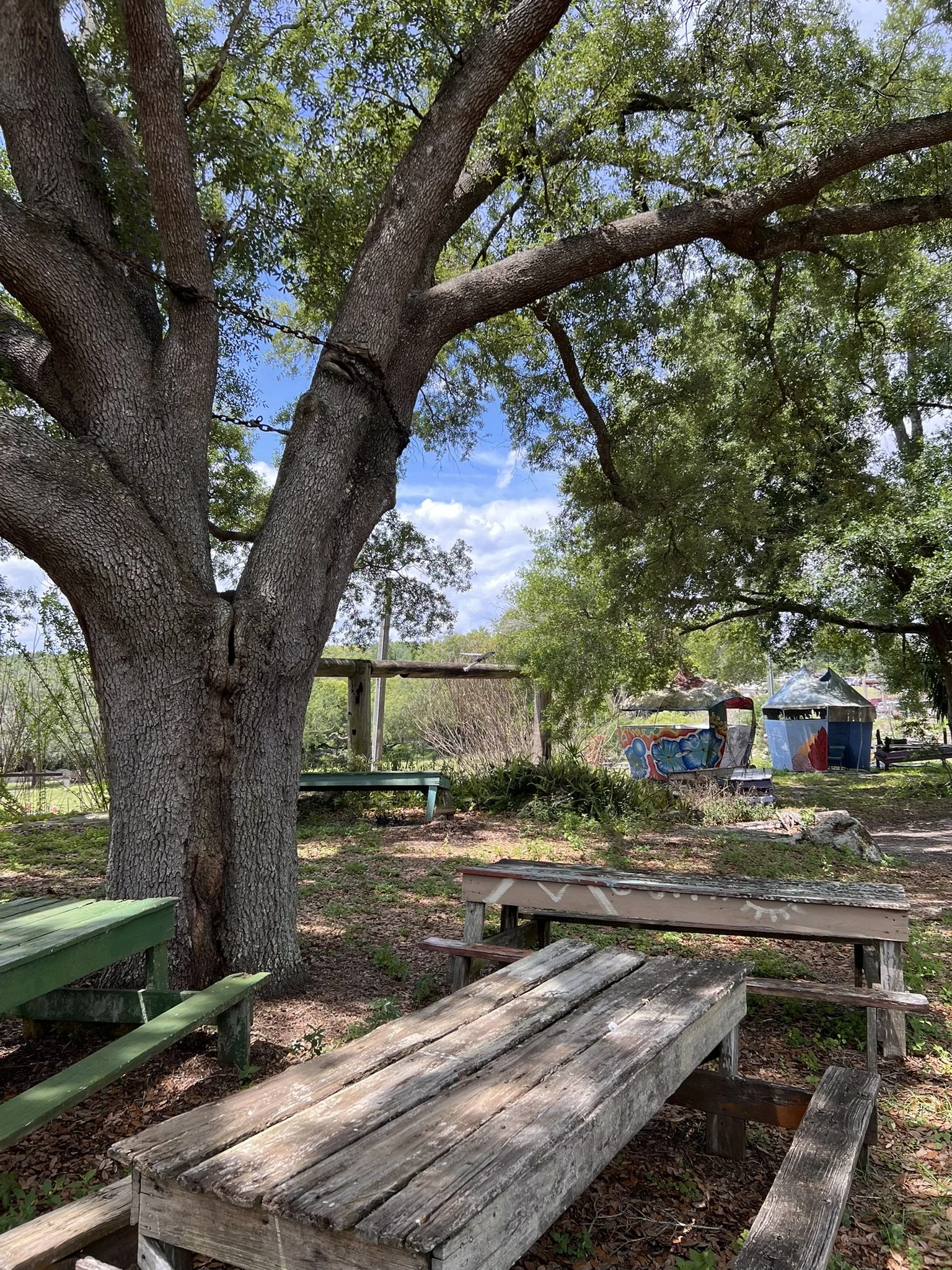 The Weekend Adventures of Renniger's (of Mount Dora), Chapter Three 