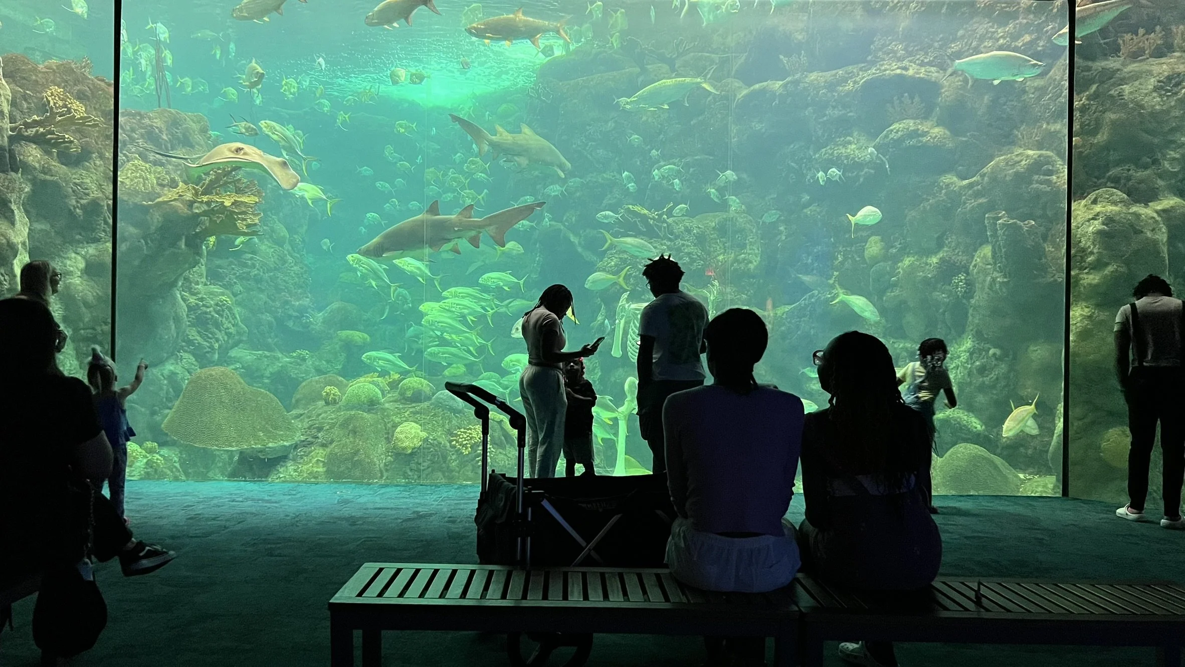 Creating an Entire Ocean by the Ocean