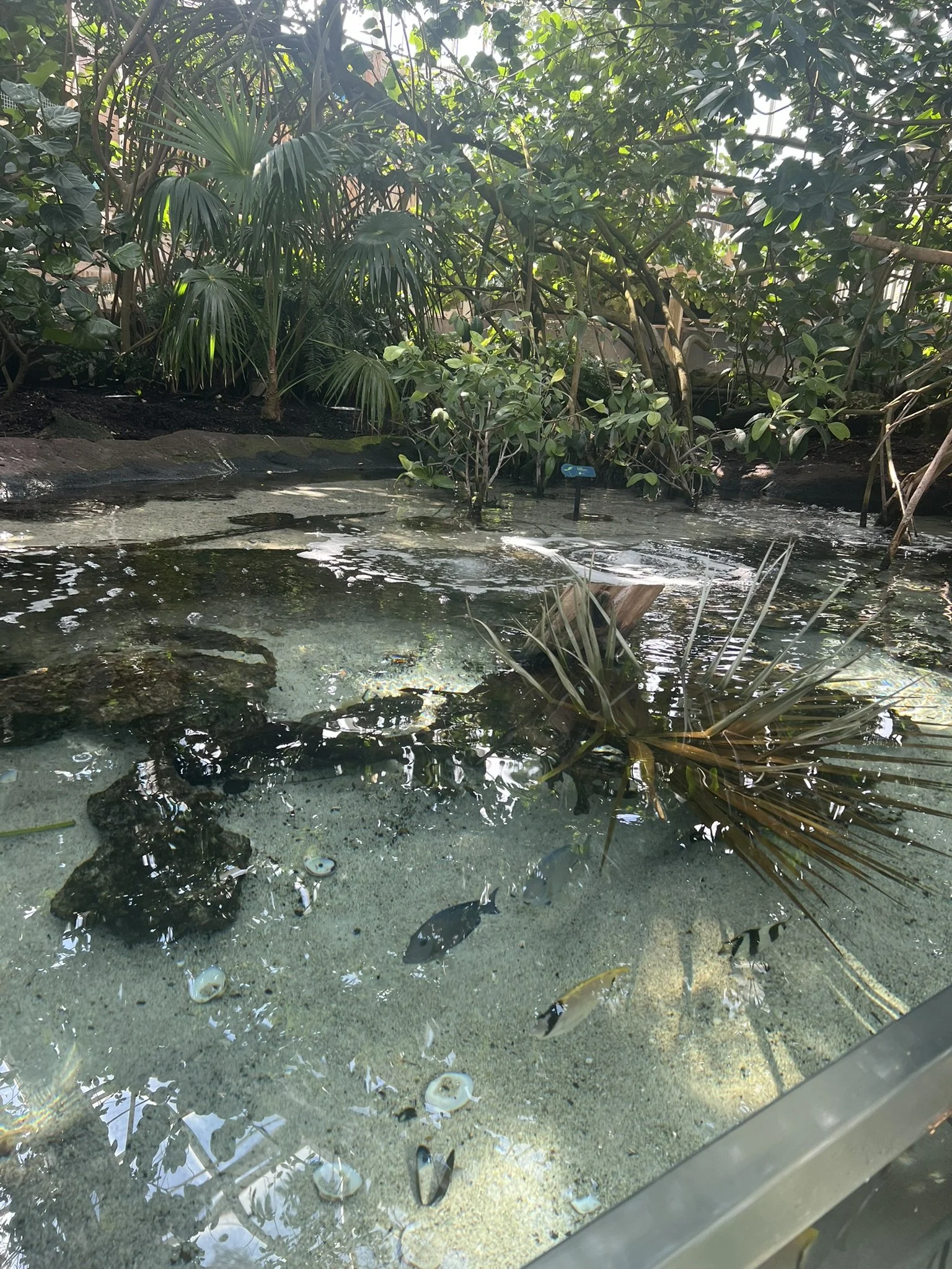 Florida Aquarium (16).JPEG