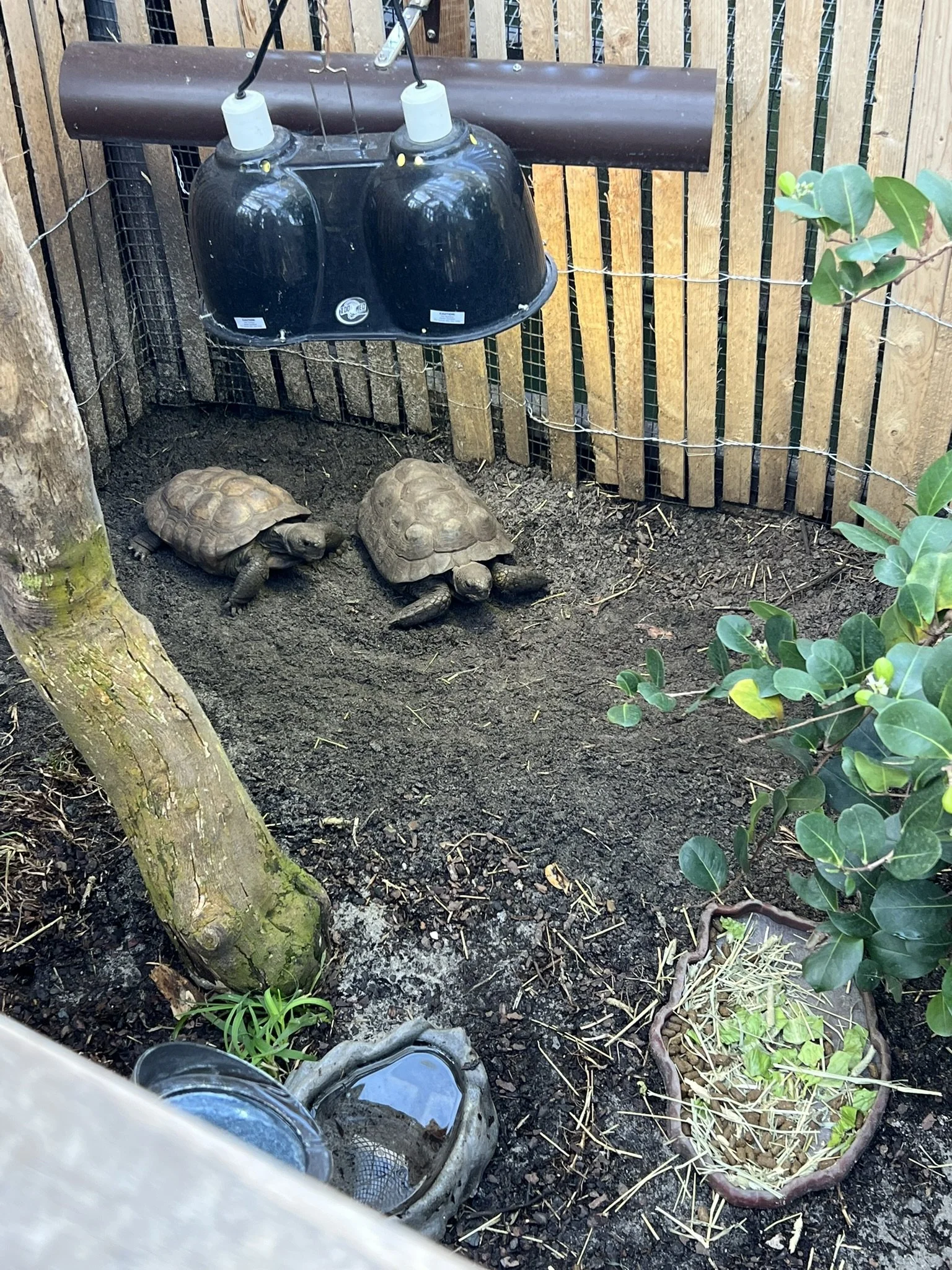 Florida Aquarium (56).JPEG