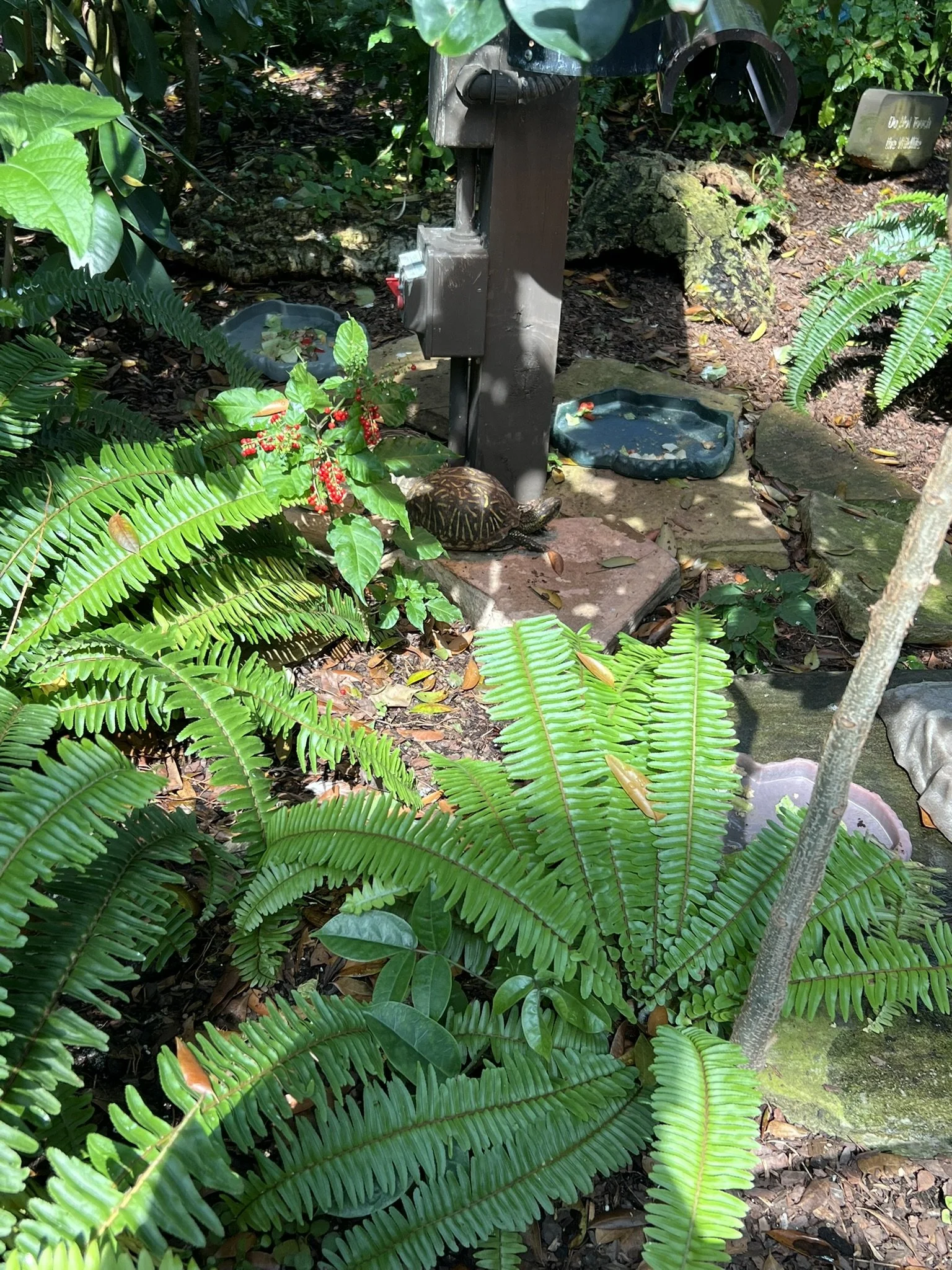 Florida Aquarium (63).JPEG