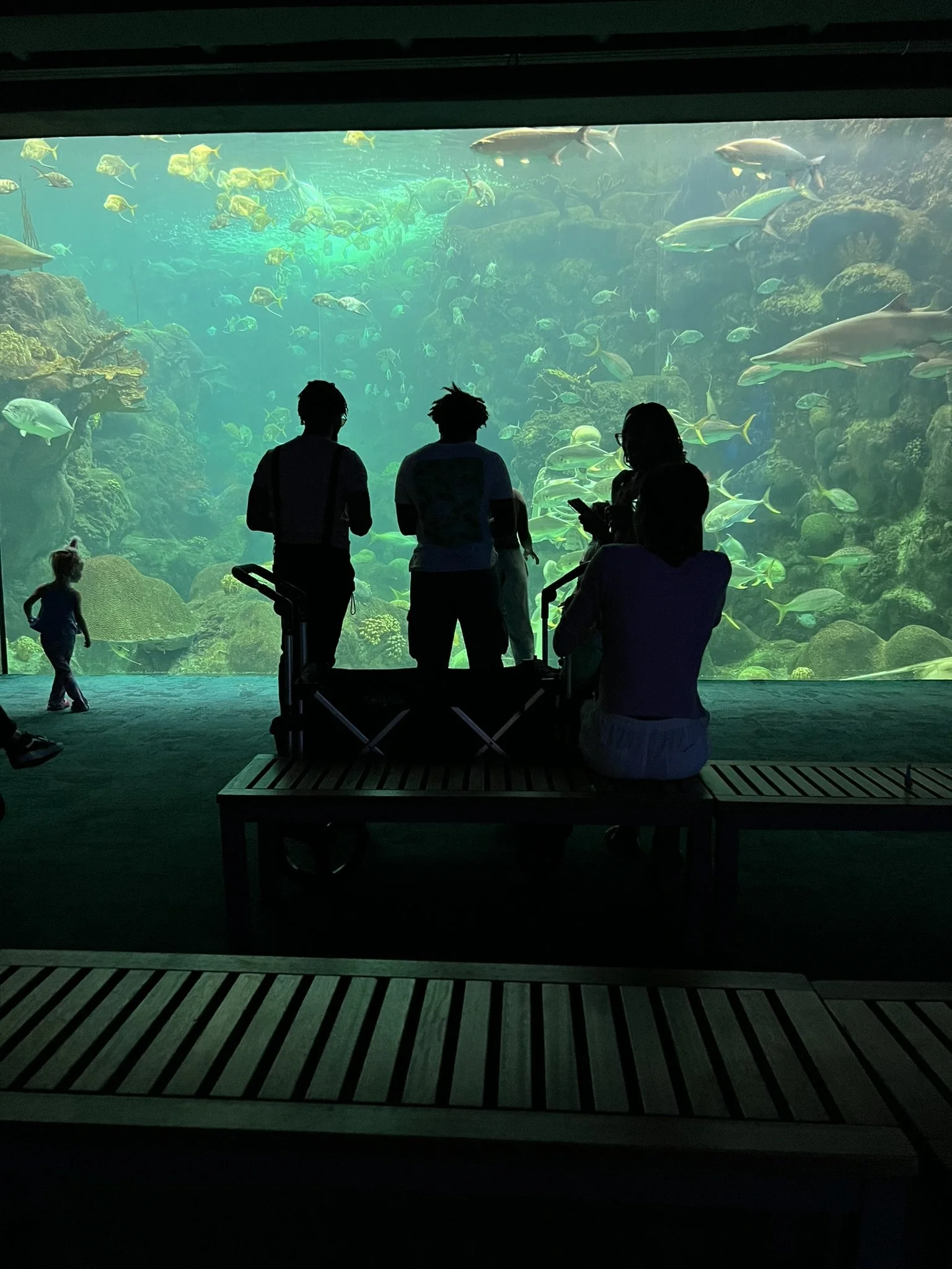 Florida Aquarium (43).JPEG