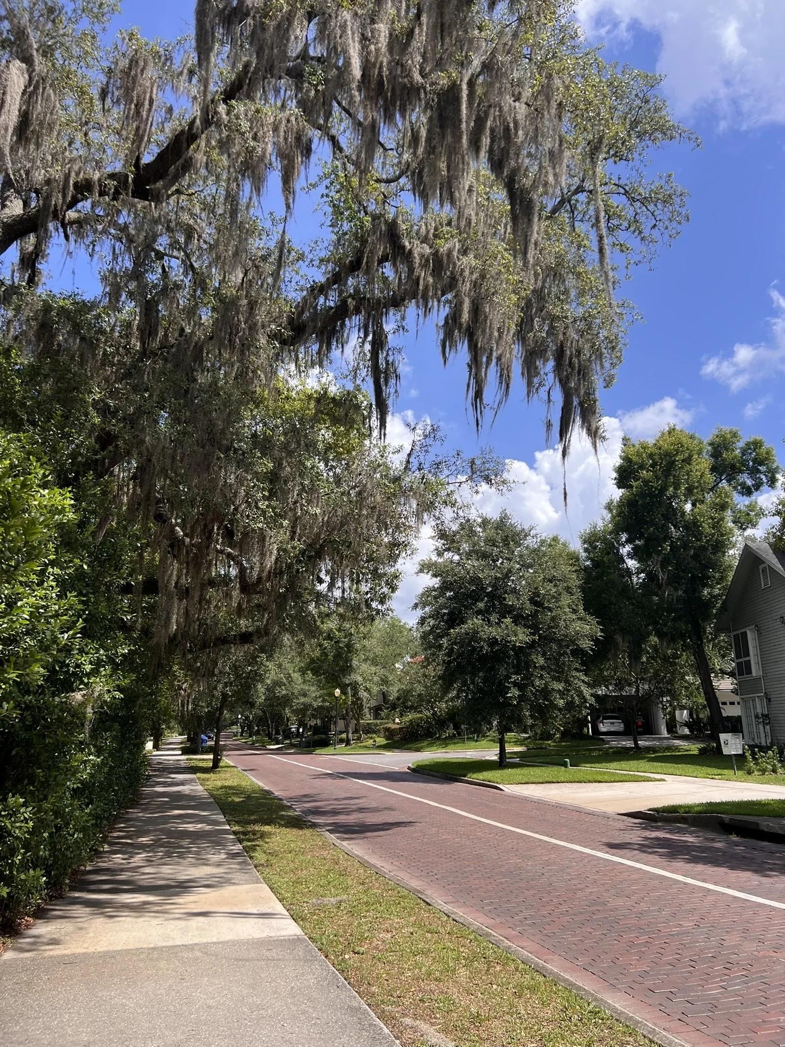 Three 10/10s, One Winter Park Mile (Feat. The Best Sandwich in Central Florida) 
