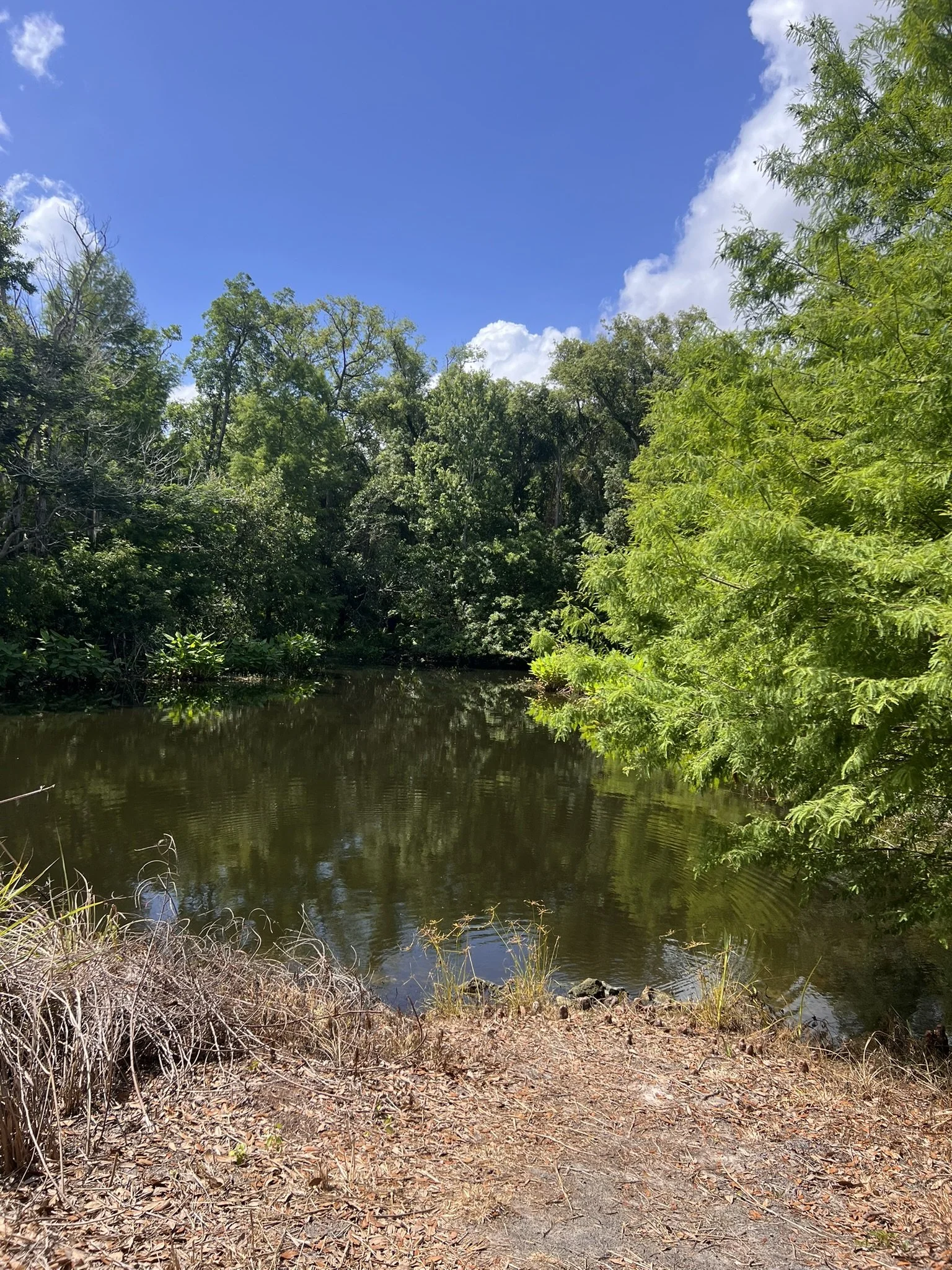 Mead Botanical Garden (4).JPEG